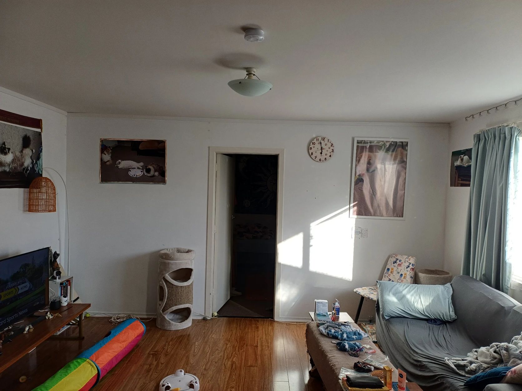 image-14