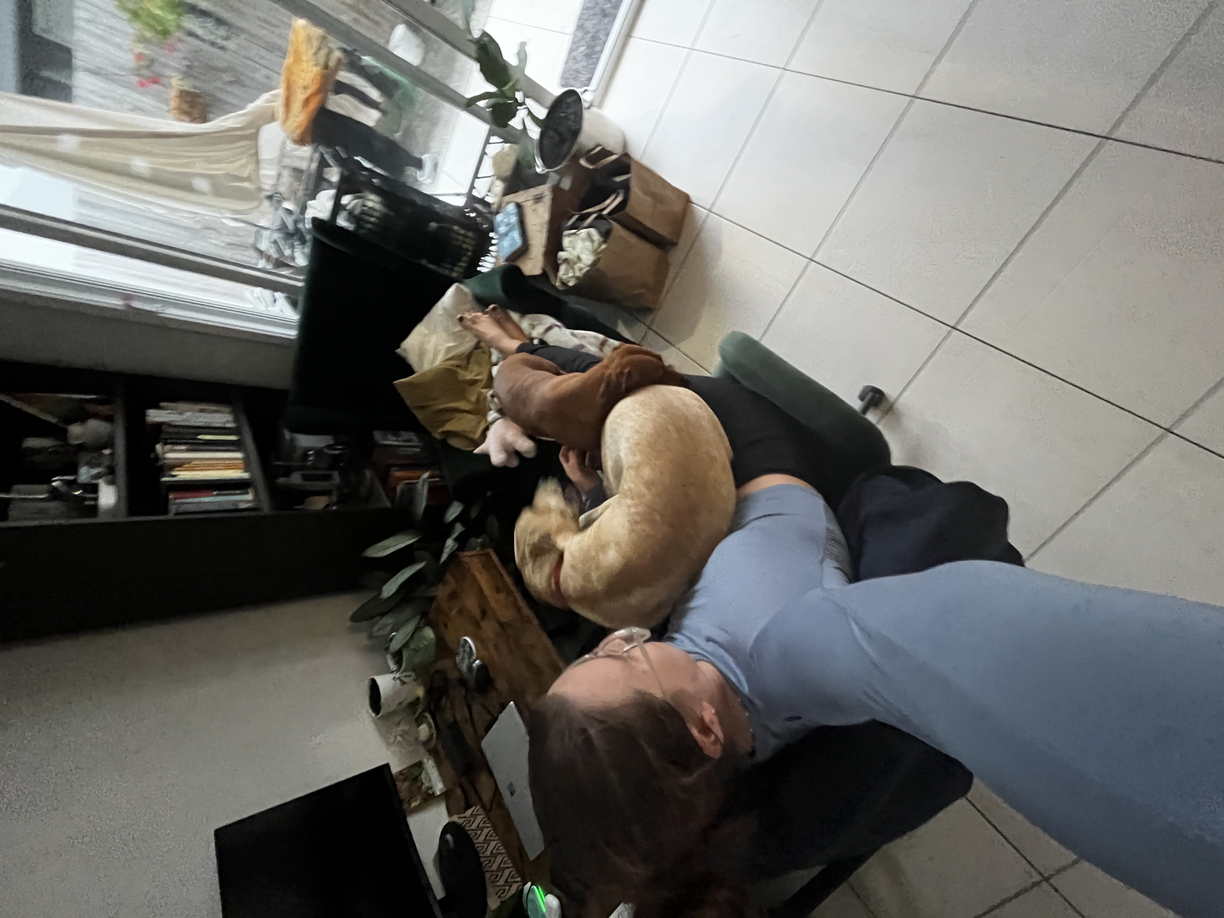 image-3