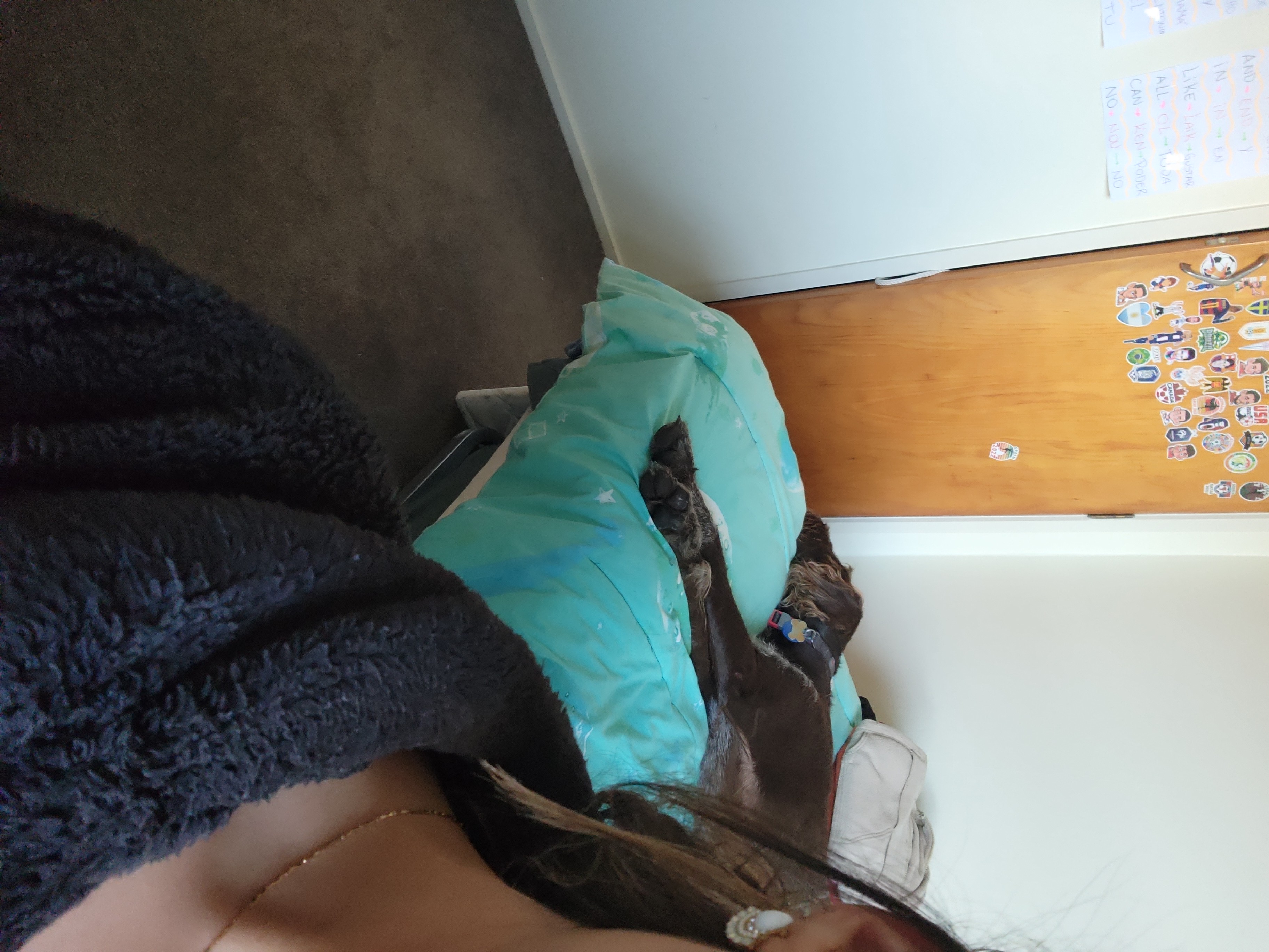 image-7