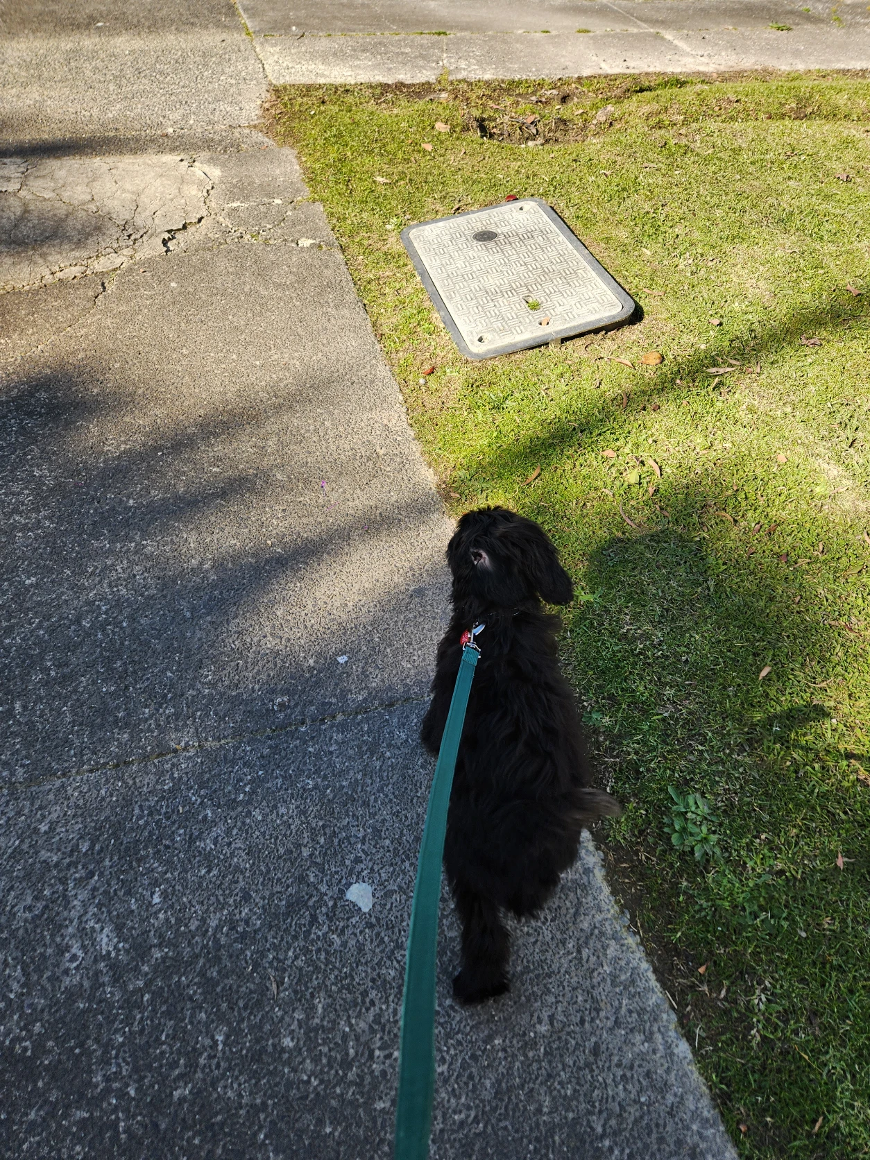 image-12