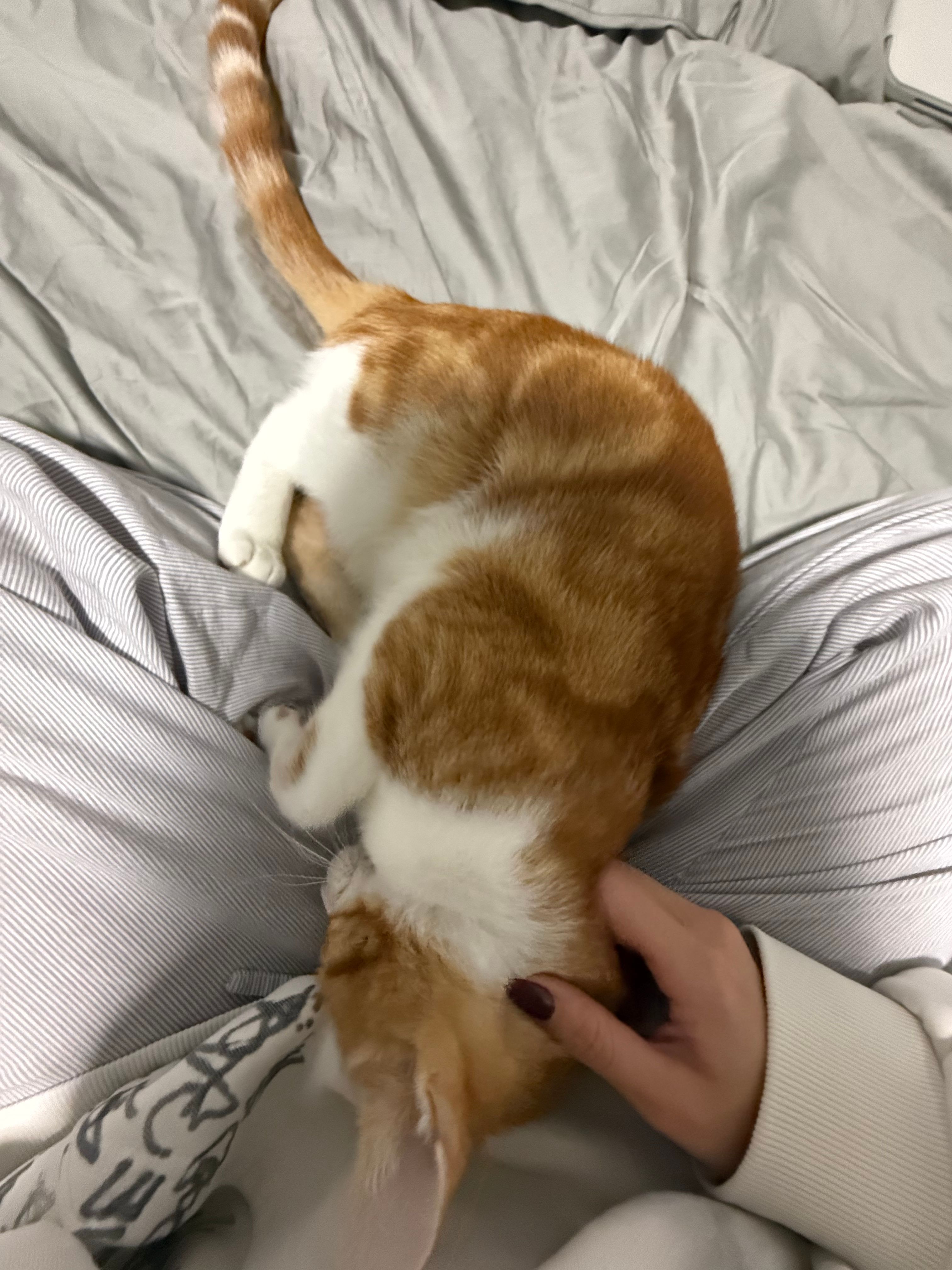 image-10