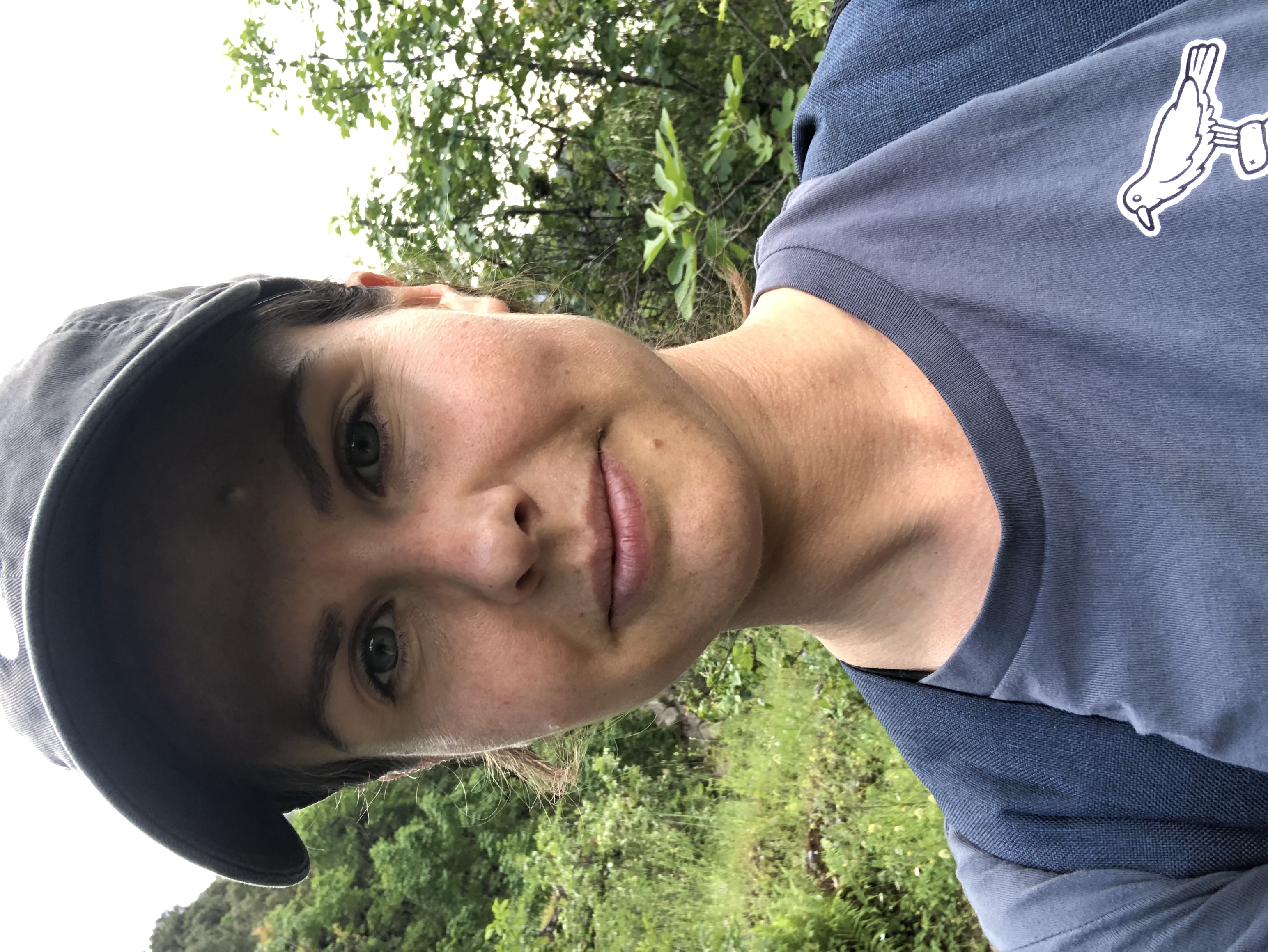 image-6