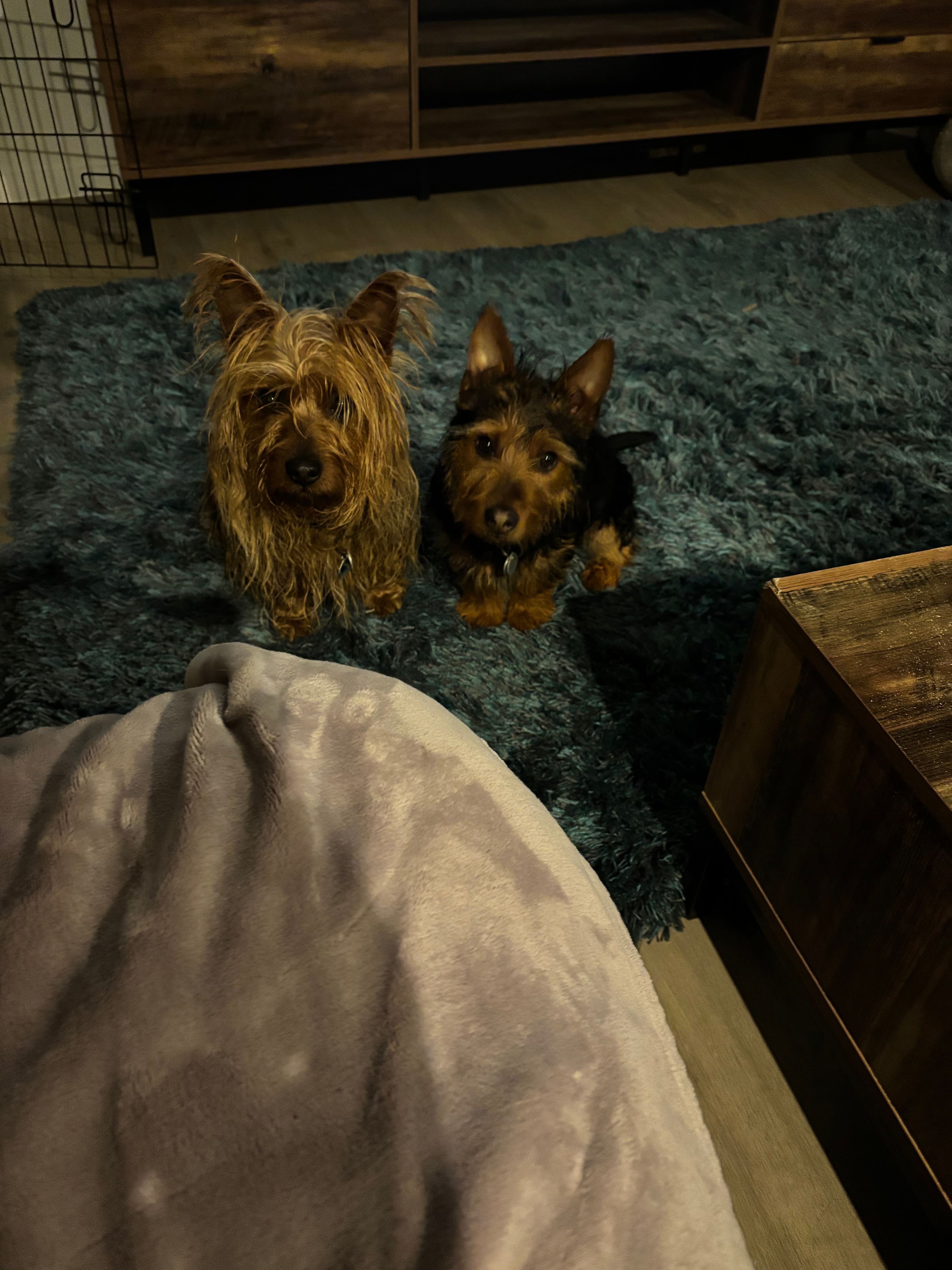 image-16