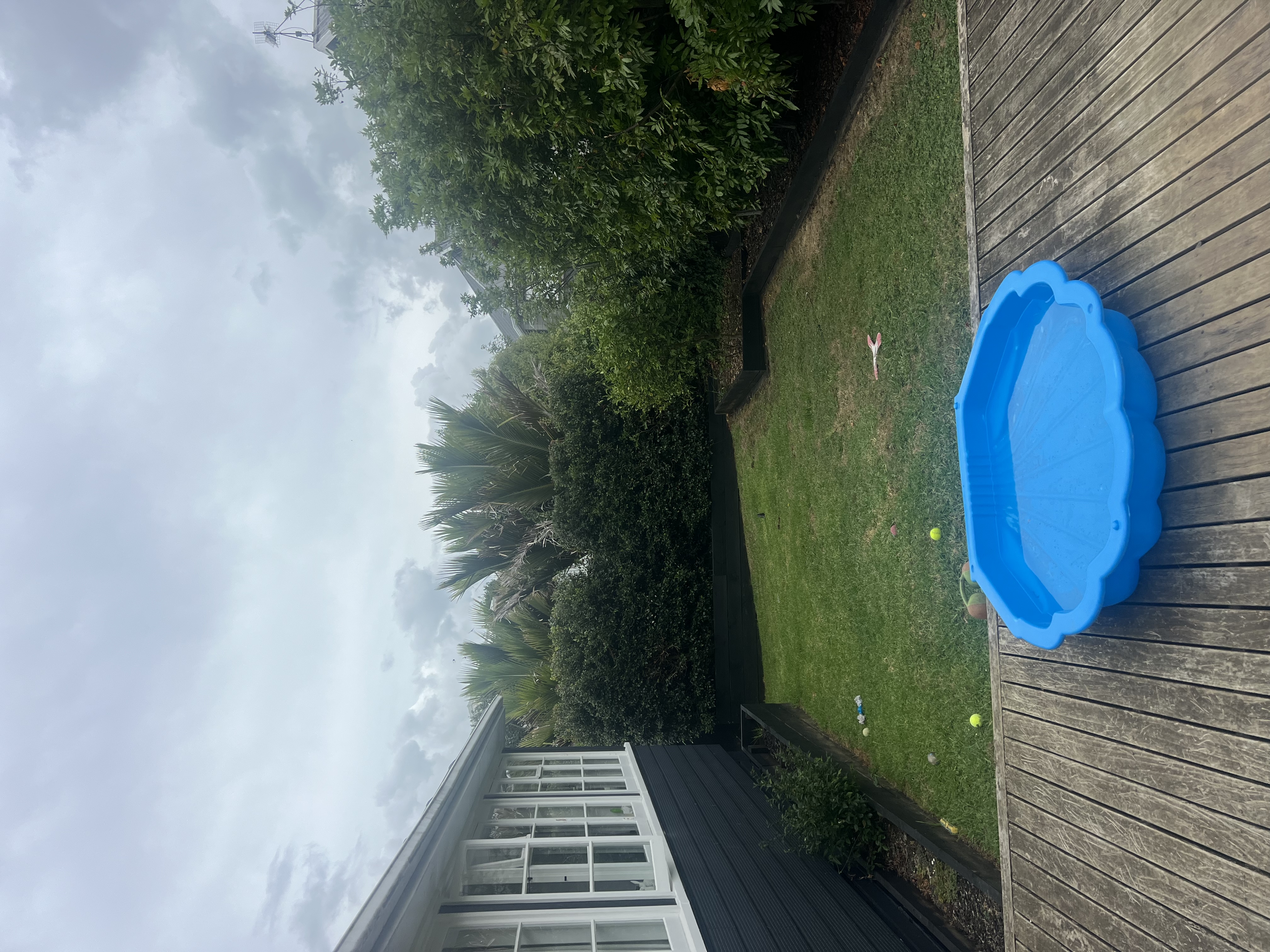 image-24