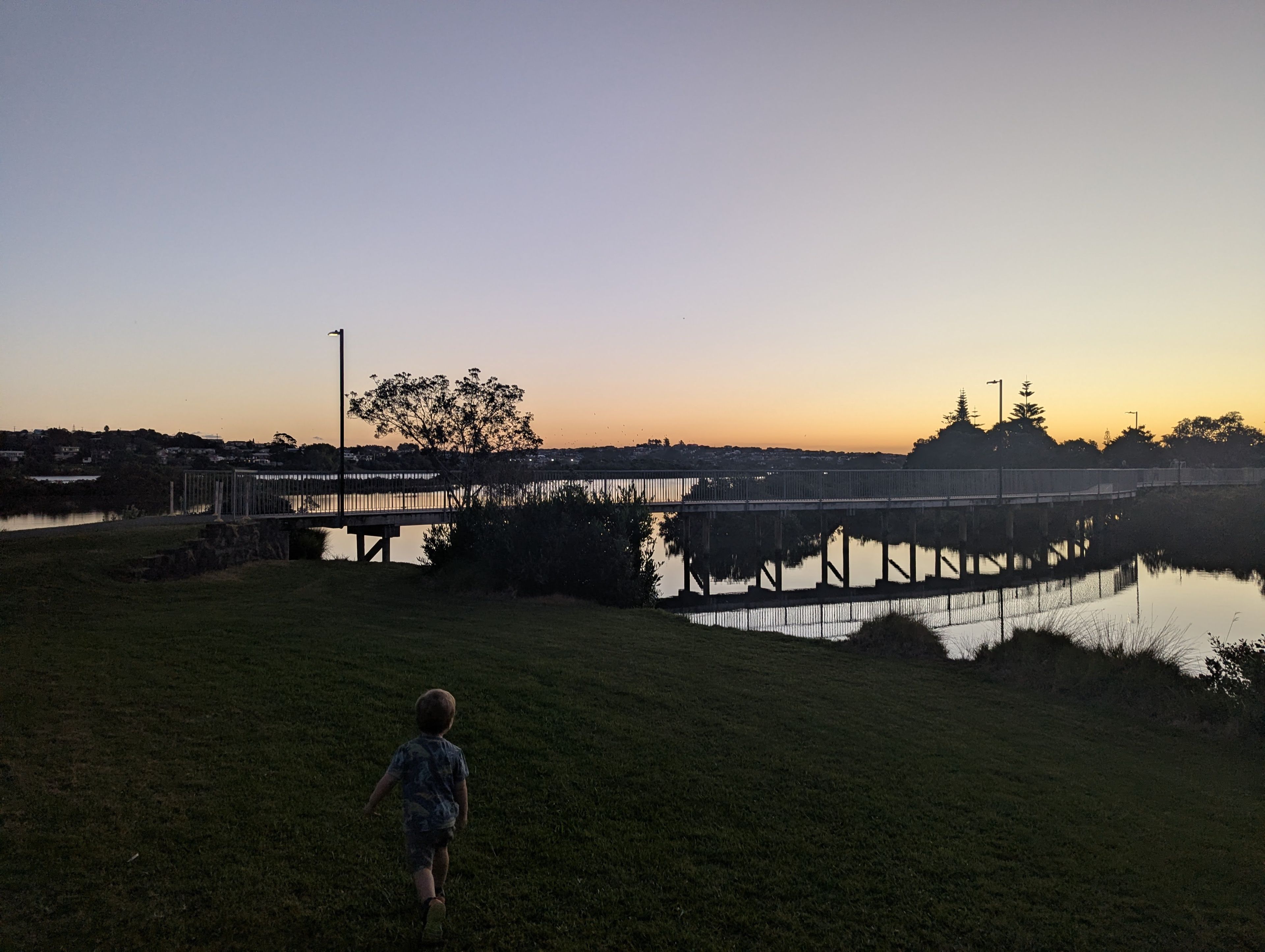 image-13