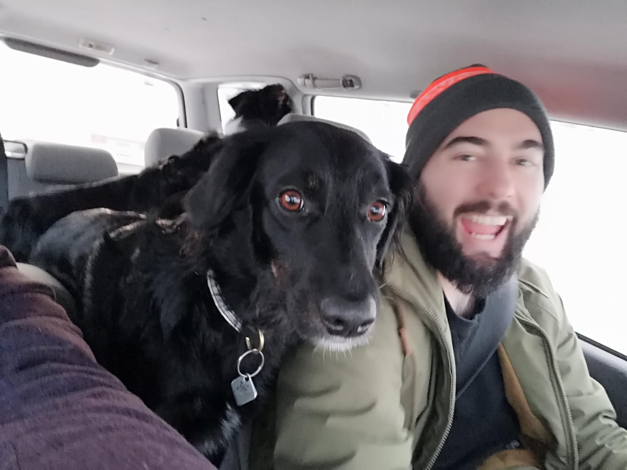 image-2