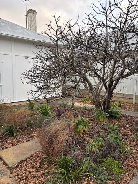 image-19