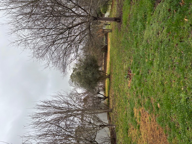 image-20