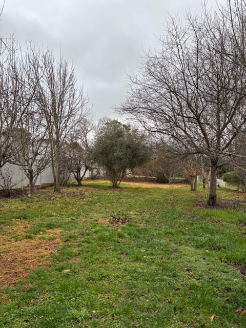 image-20