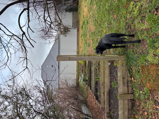 image-22