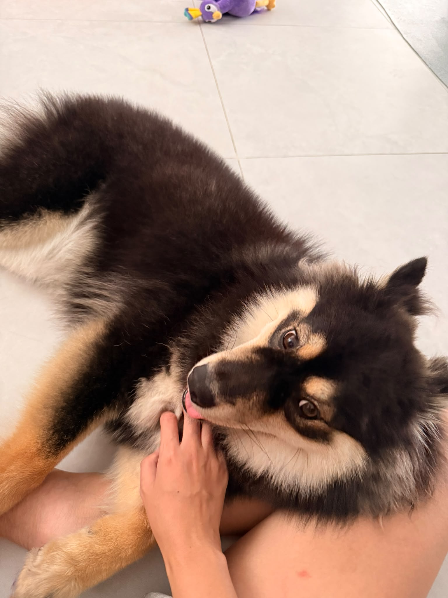 image-6