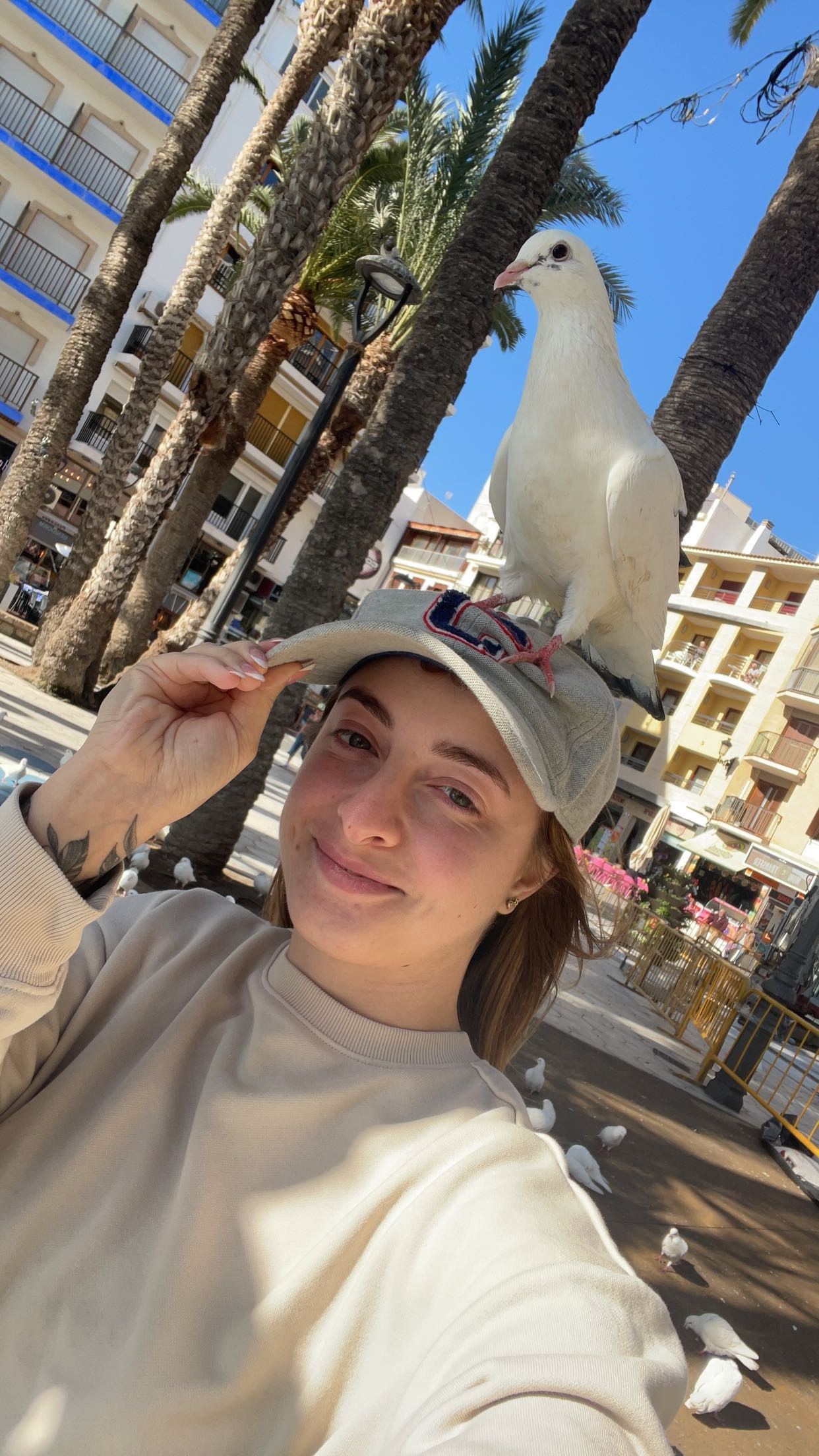image-6