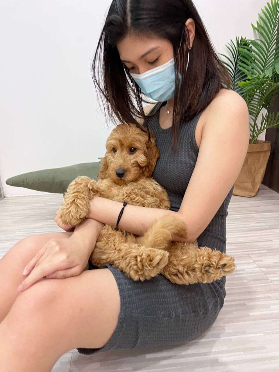 image-1