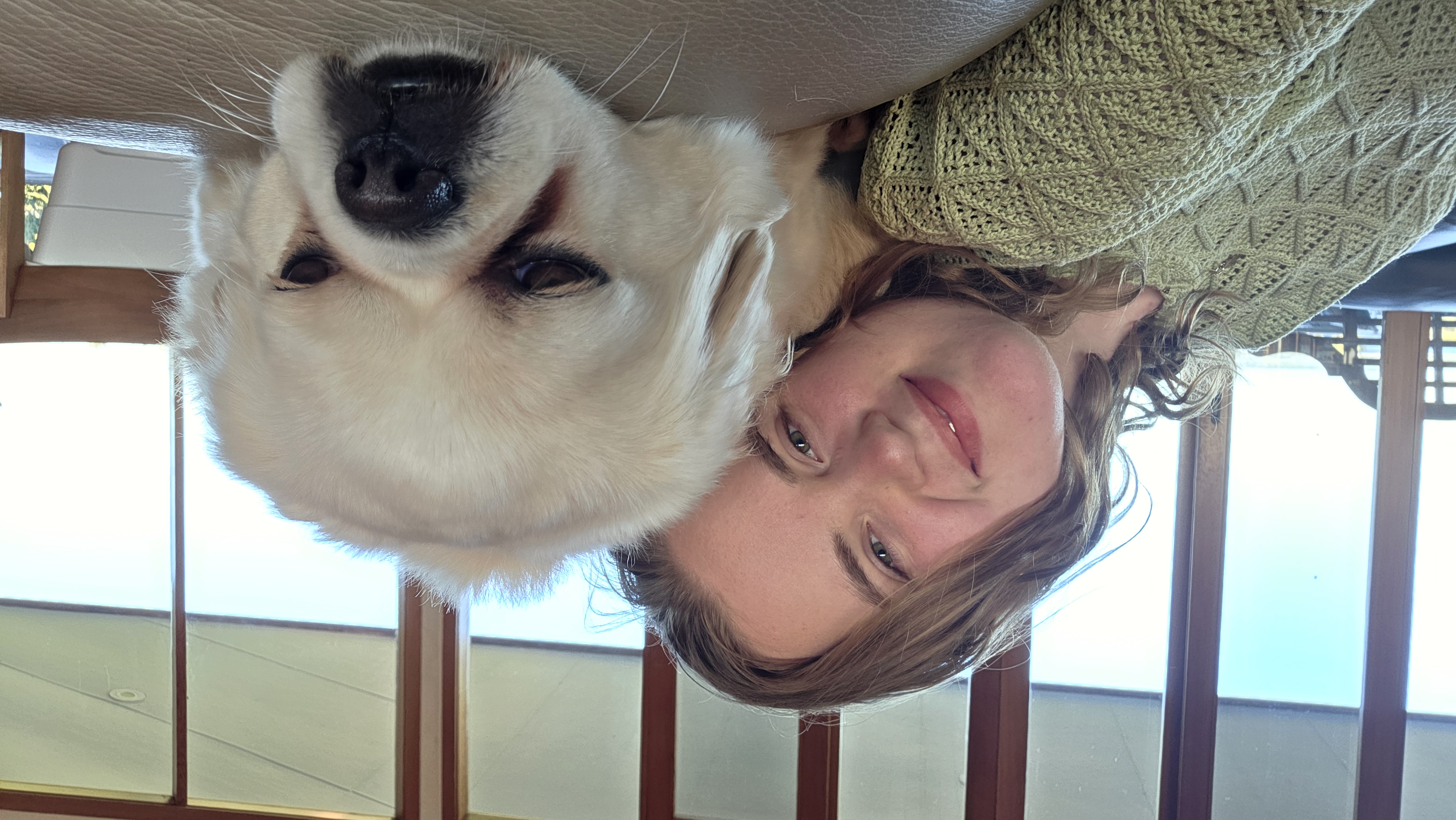 image-6