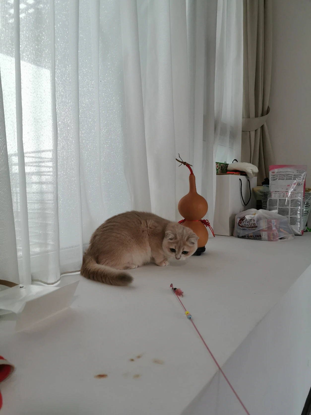 image-5