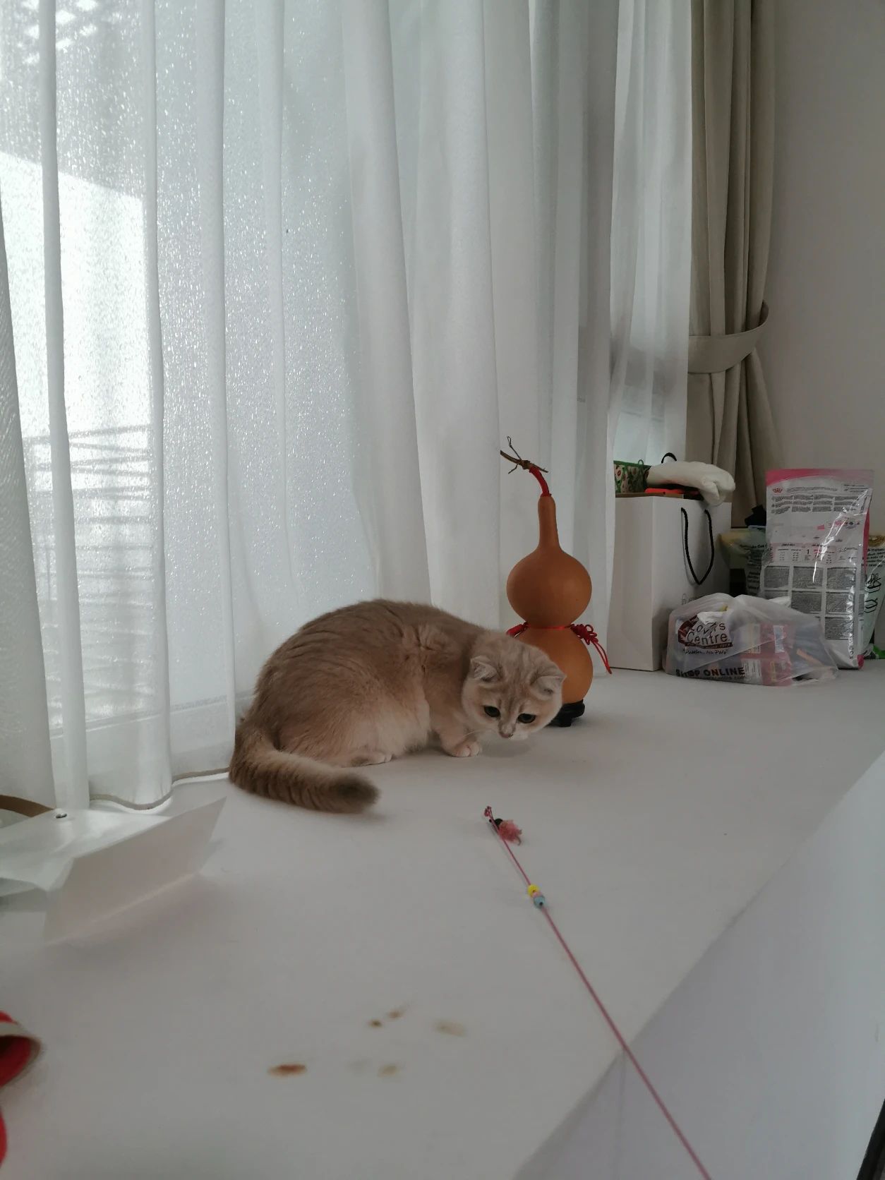 image-5