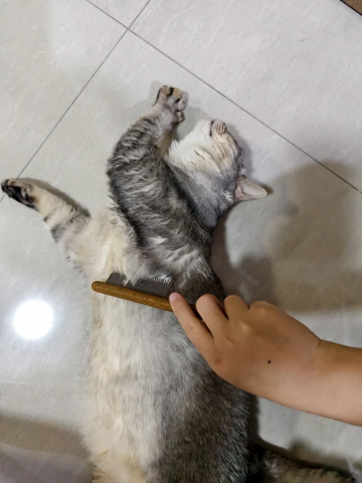 image-6