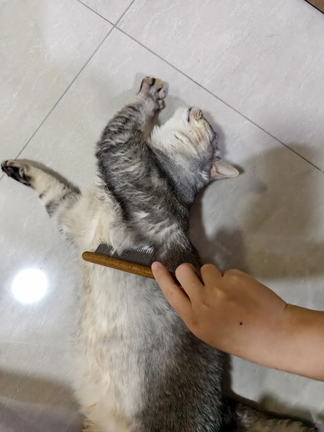 image-6