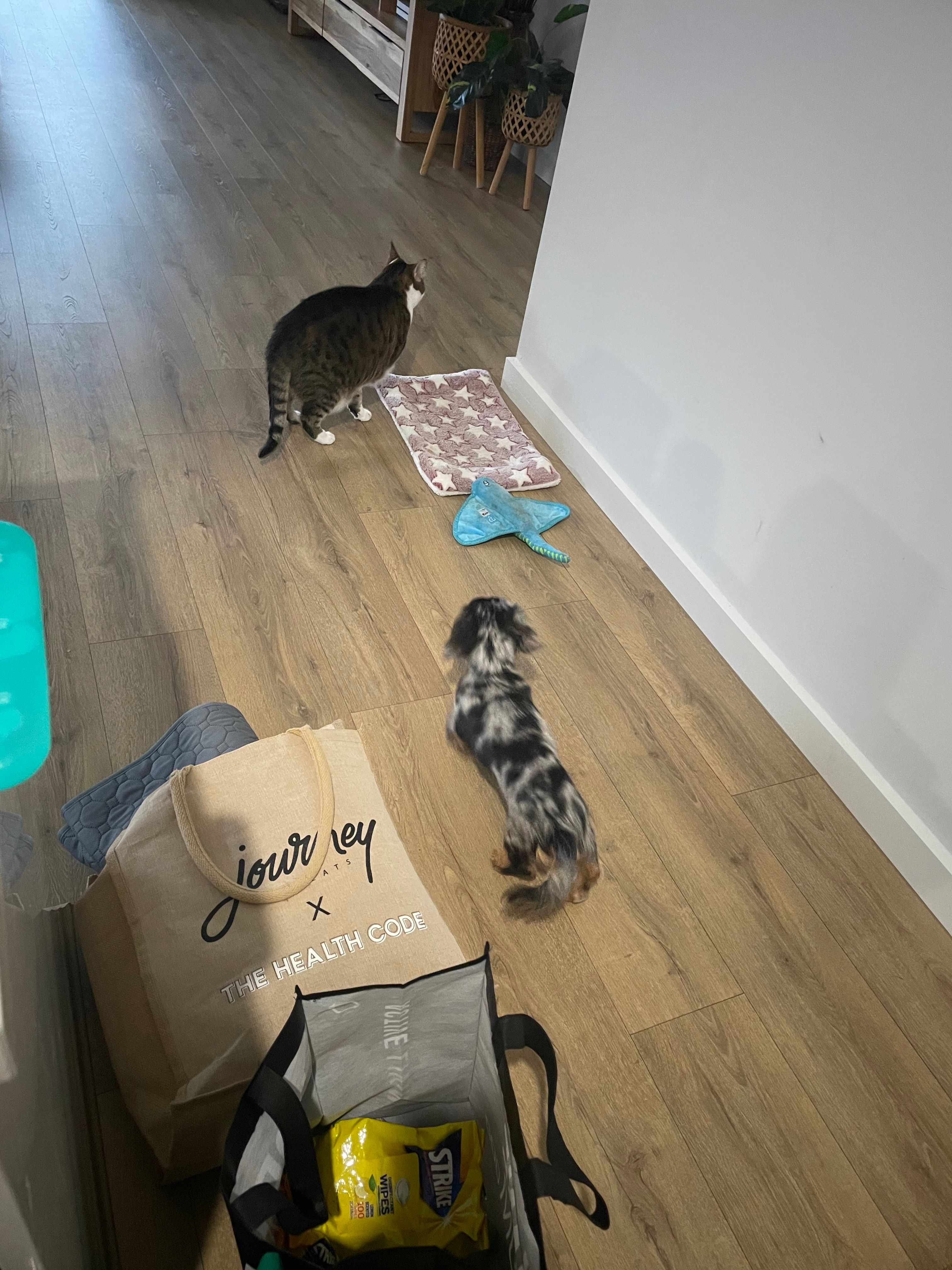 image-6