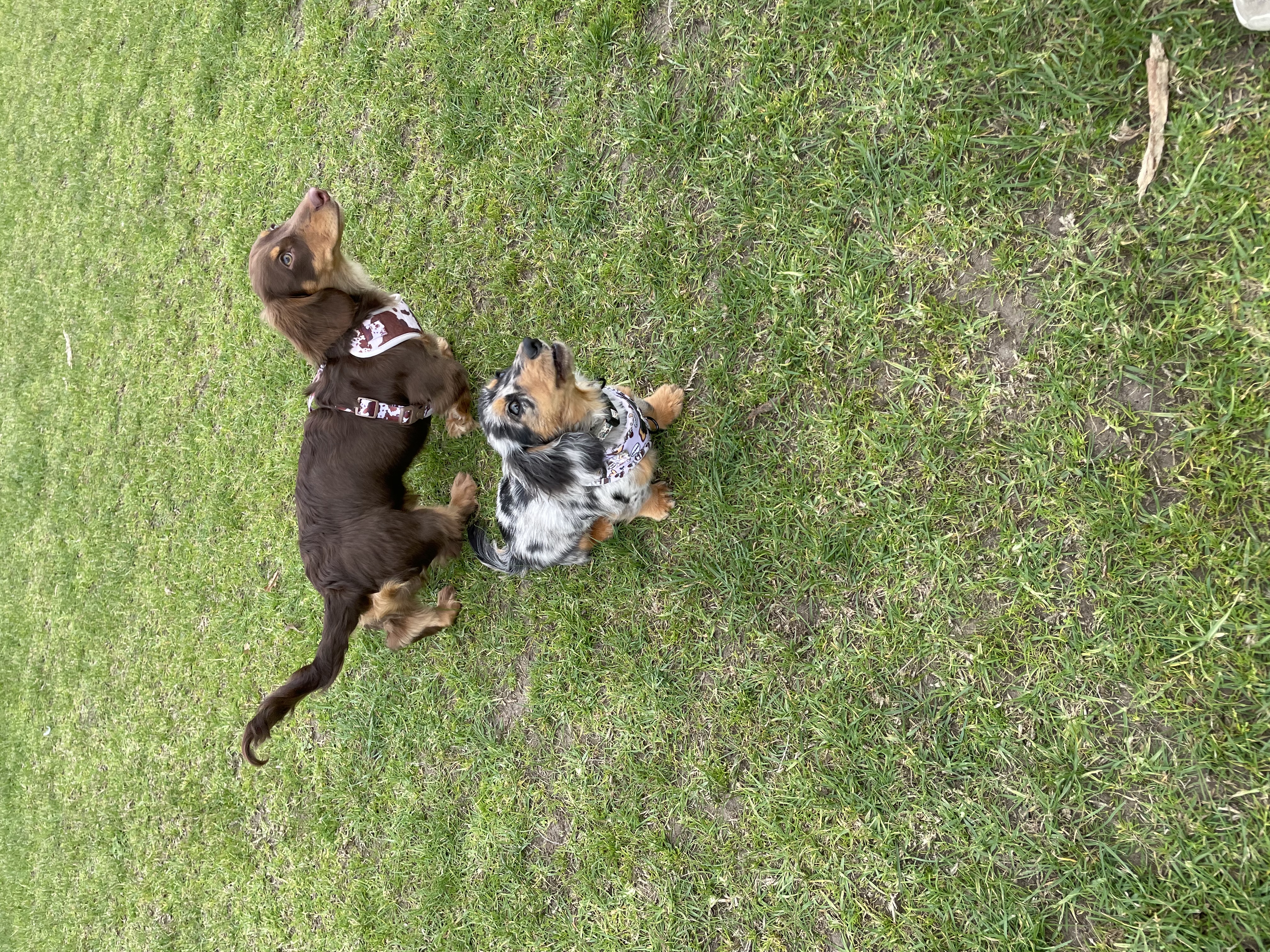 image-7