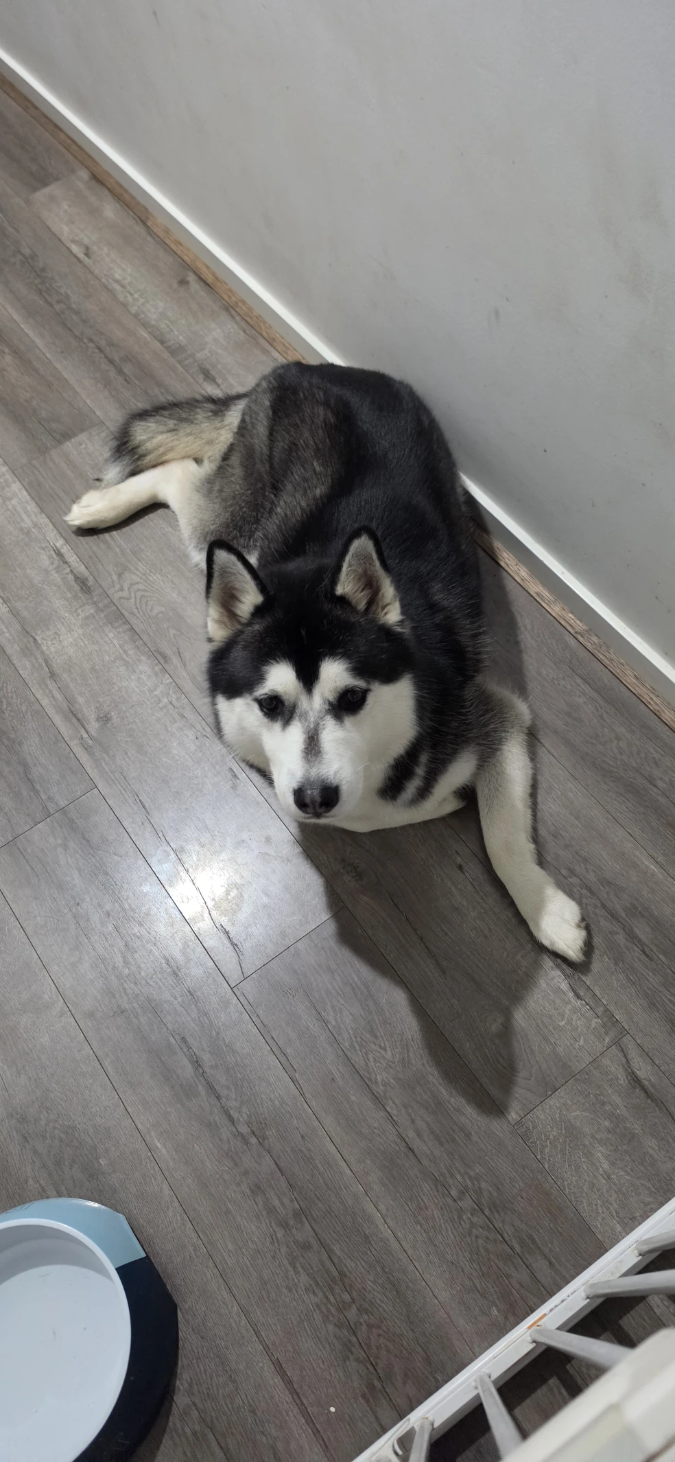 image-18
