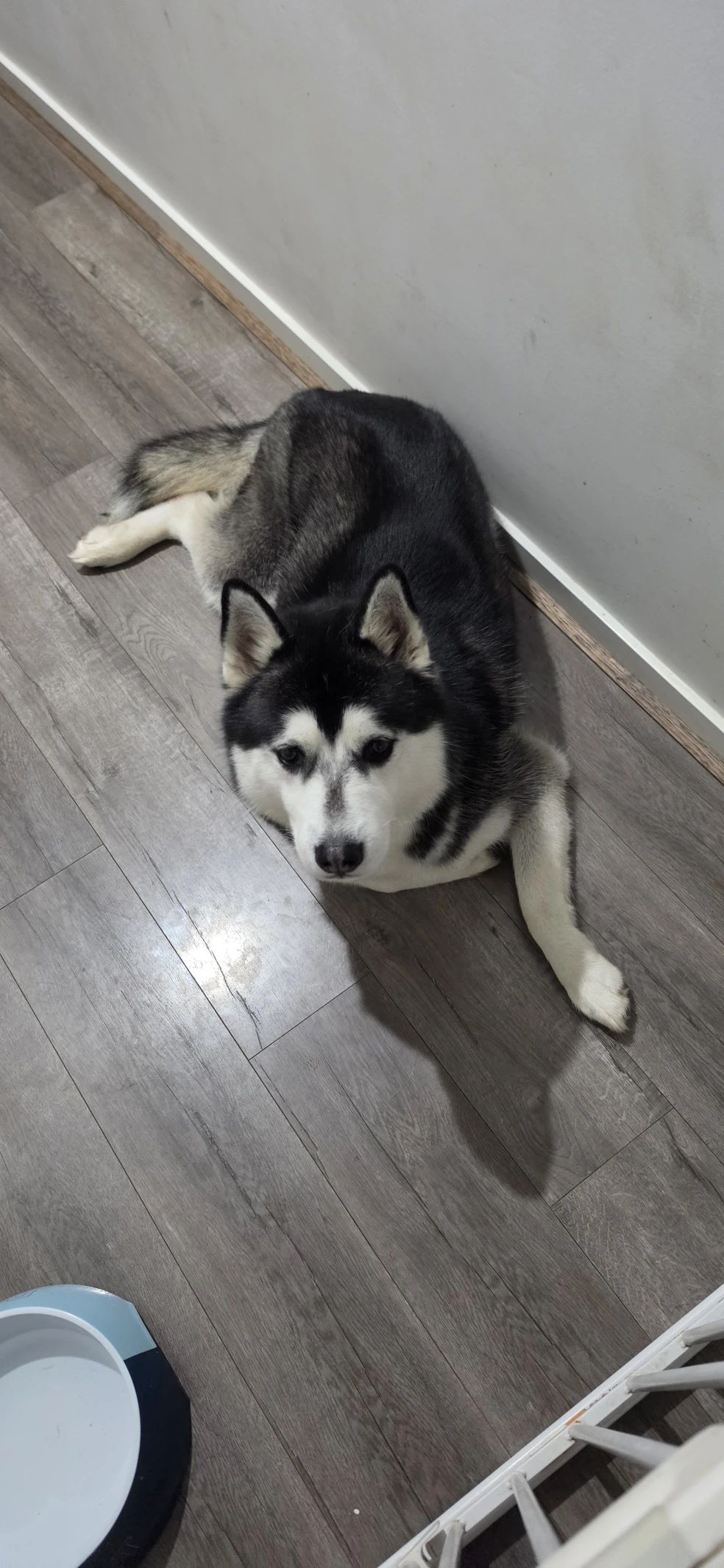 image-18