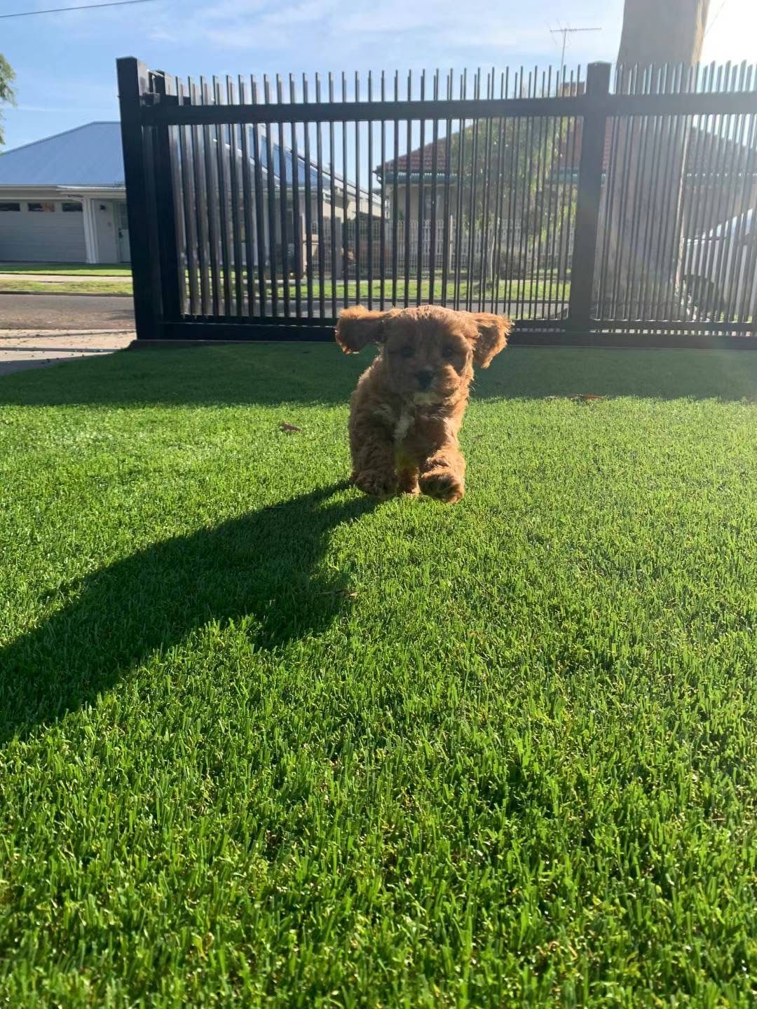 image-5