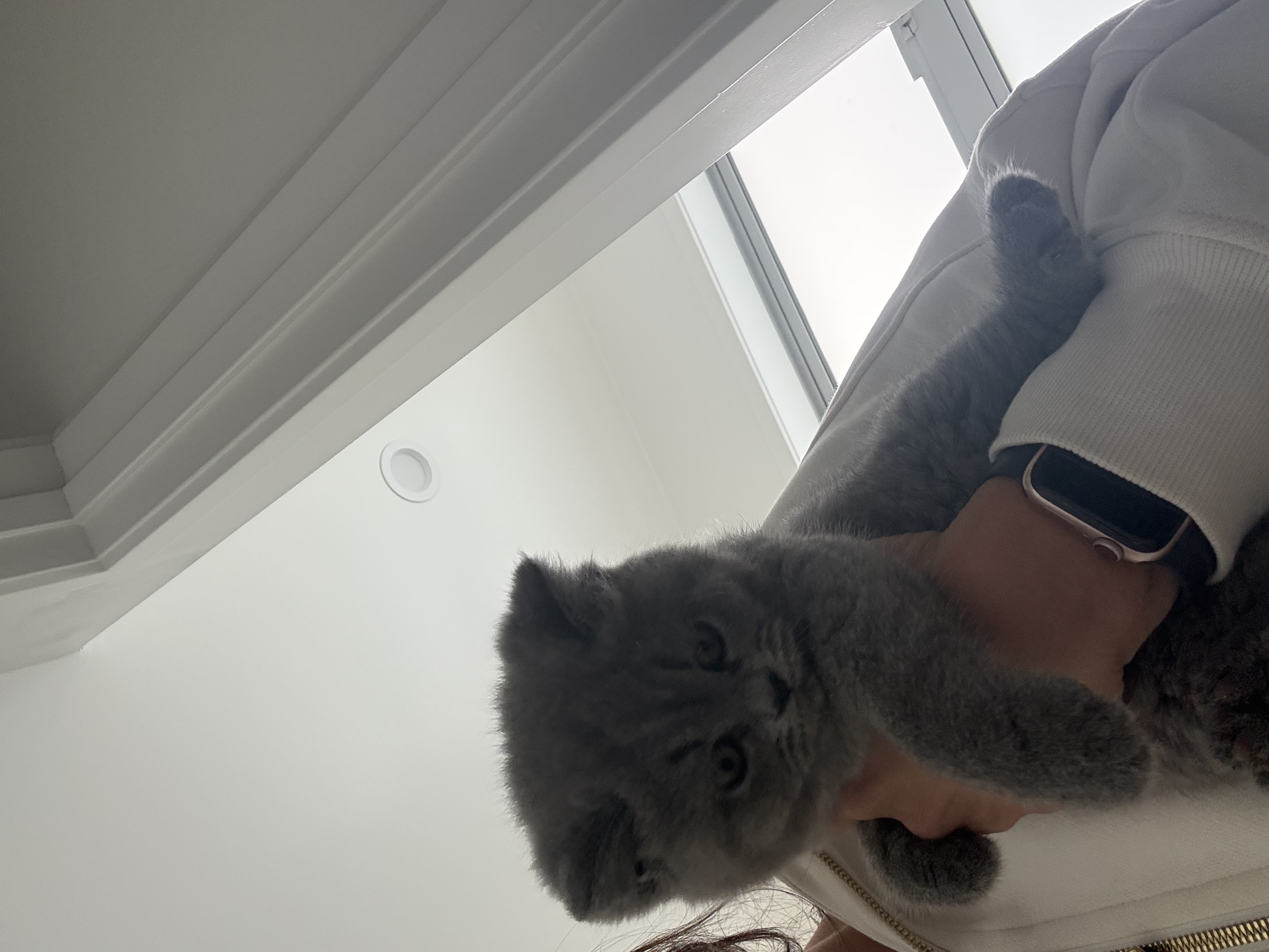 image-4