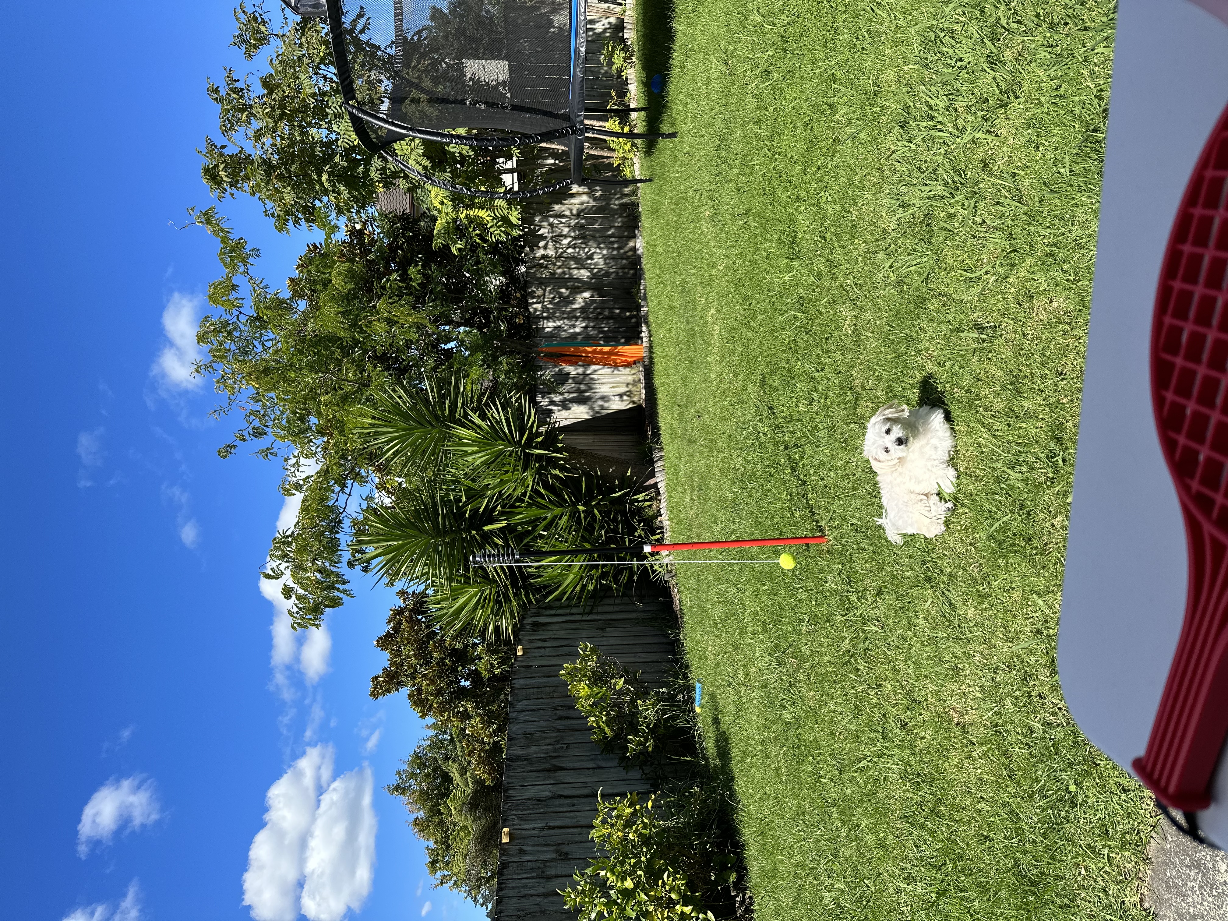 image-5