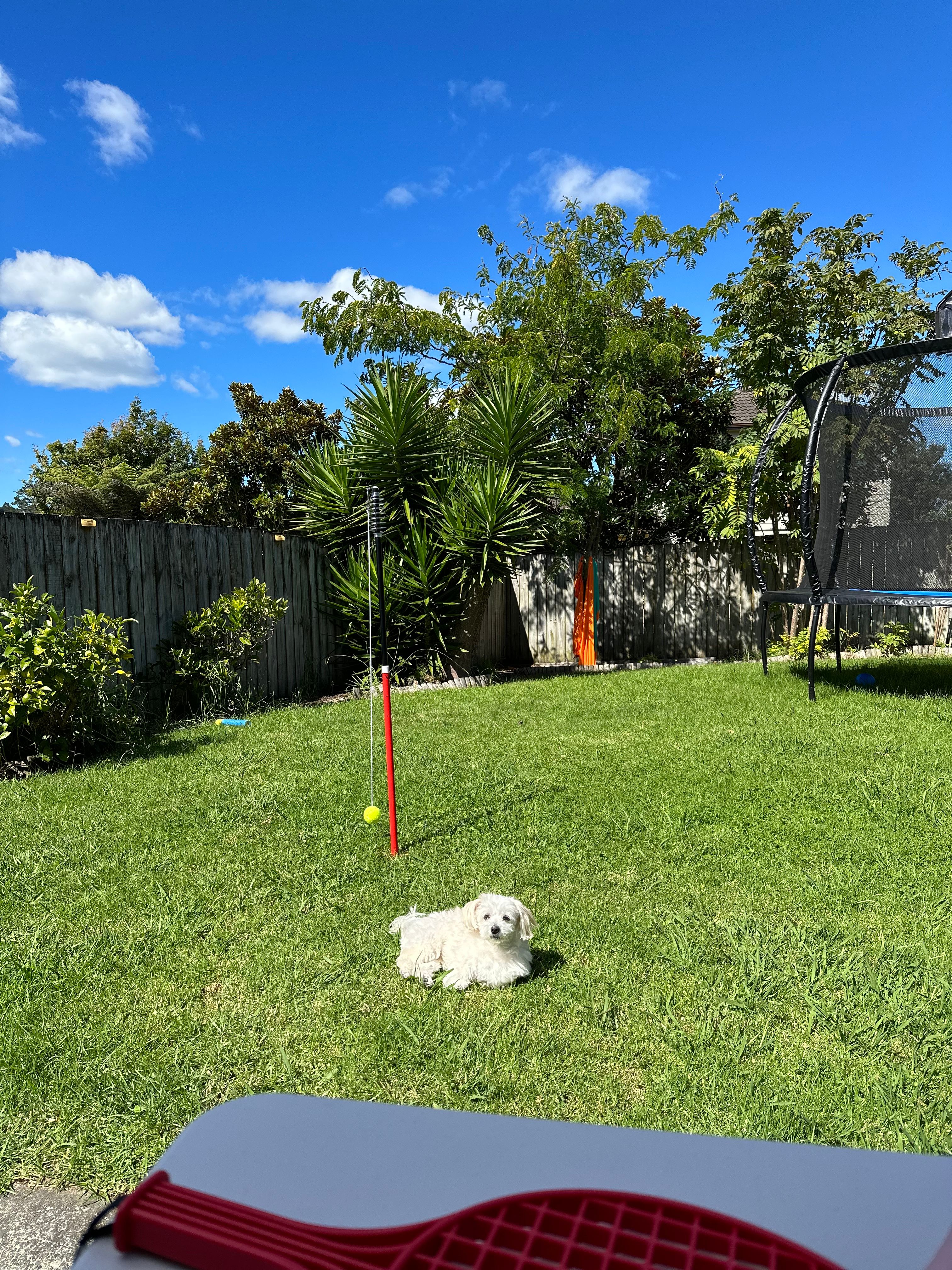 image-5