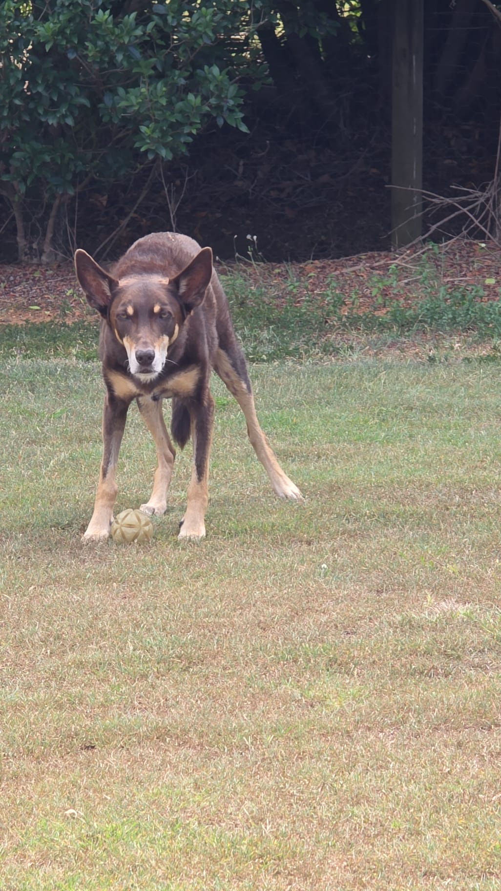 image-29