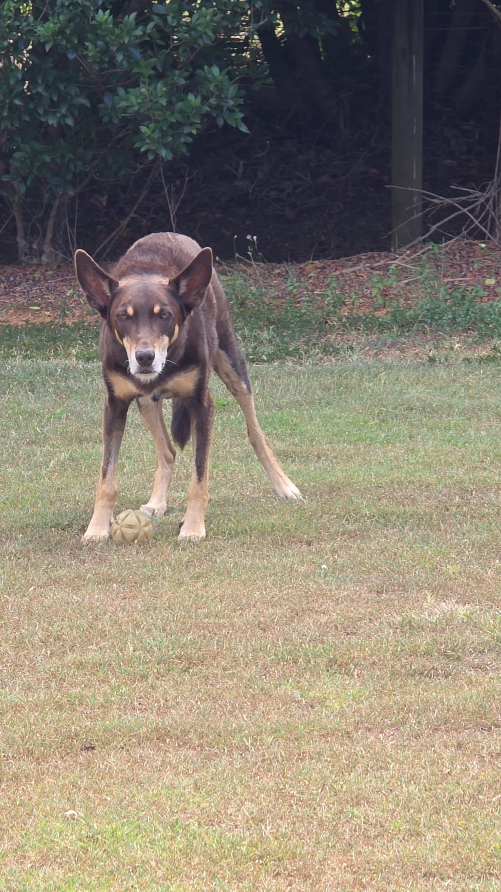 image-29