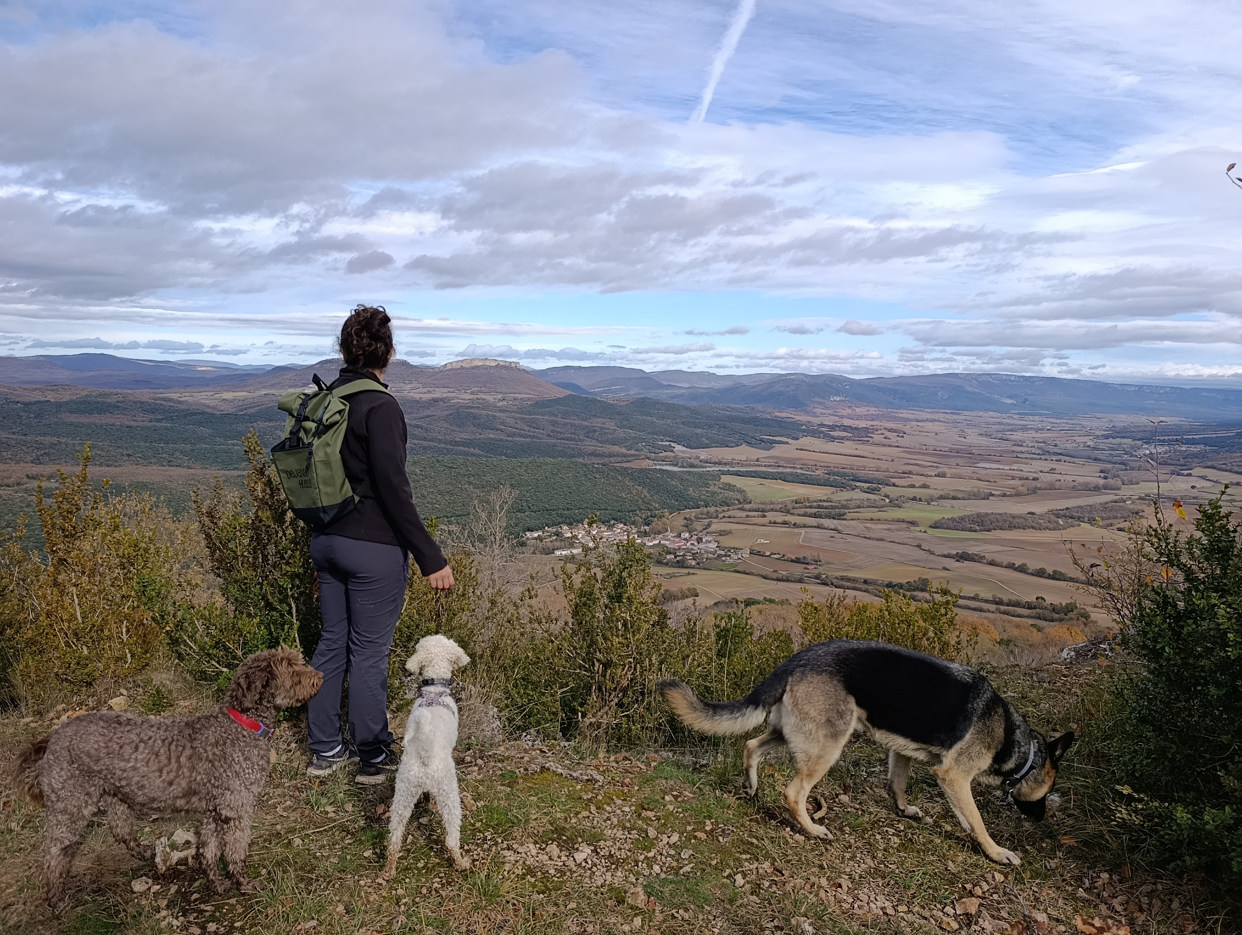 image-5