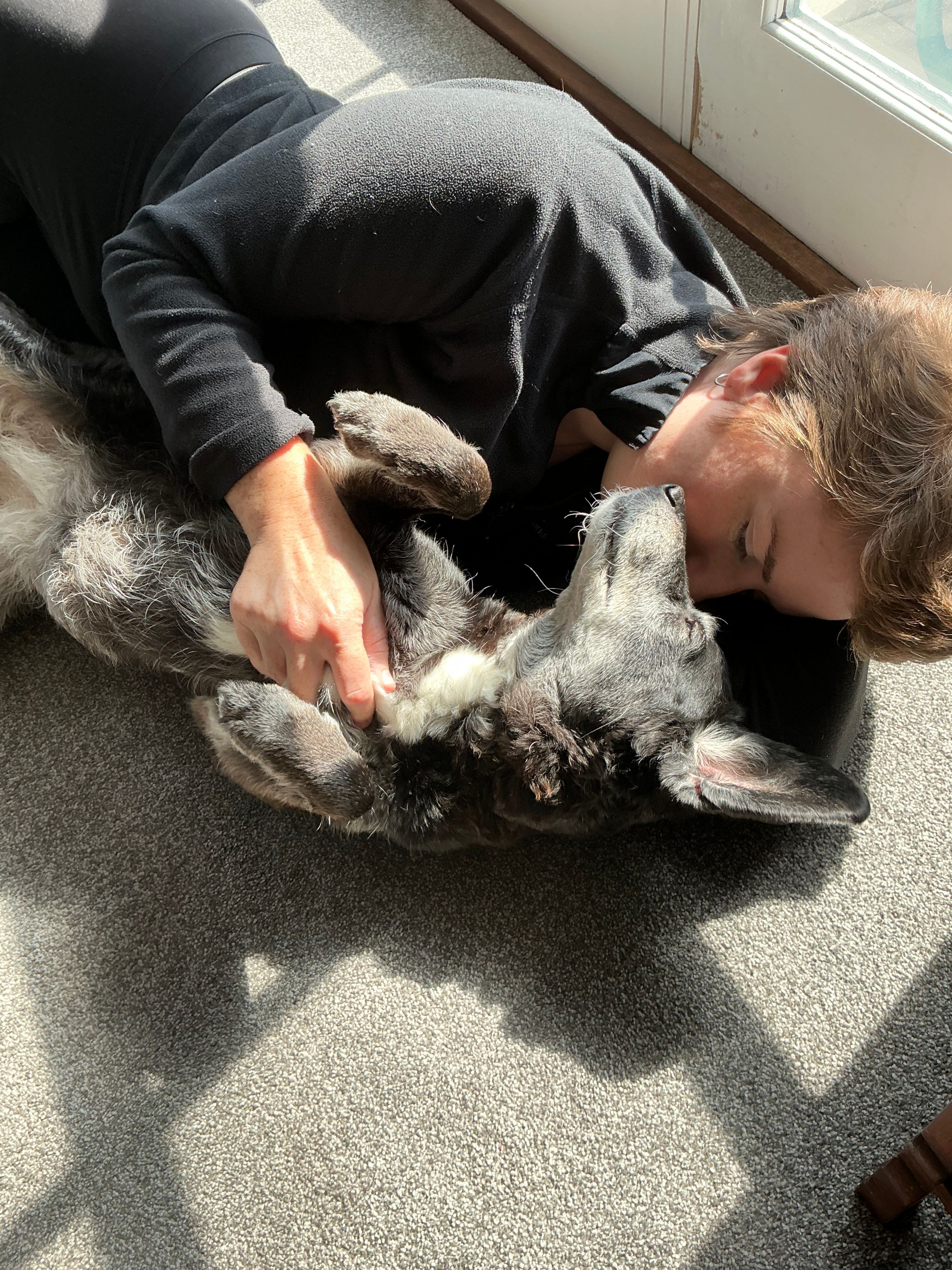 image-6