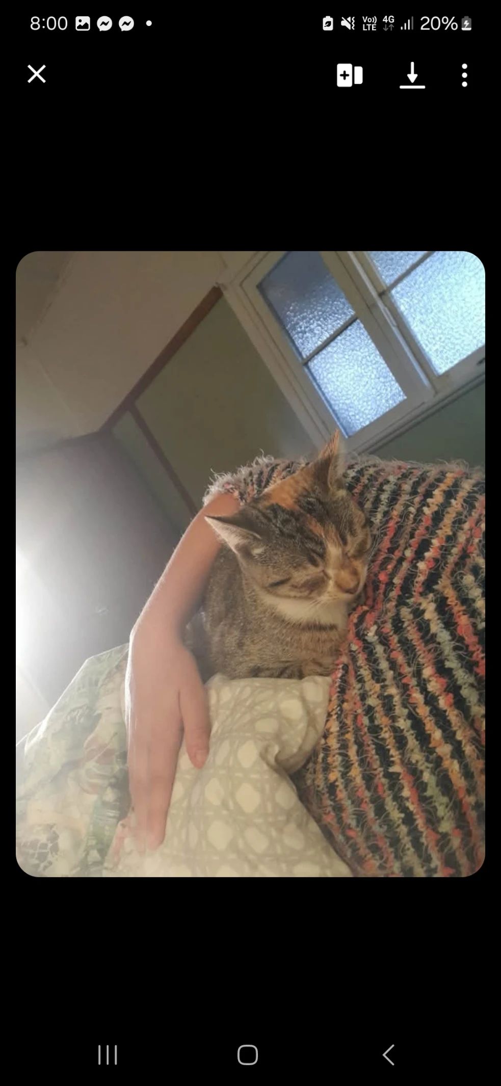 image-8
