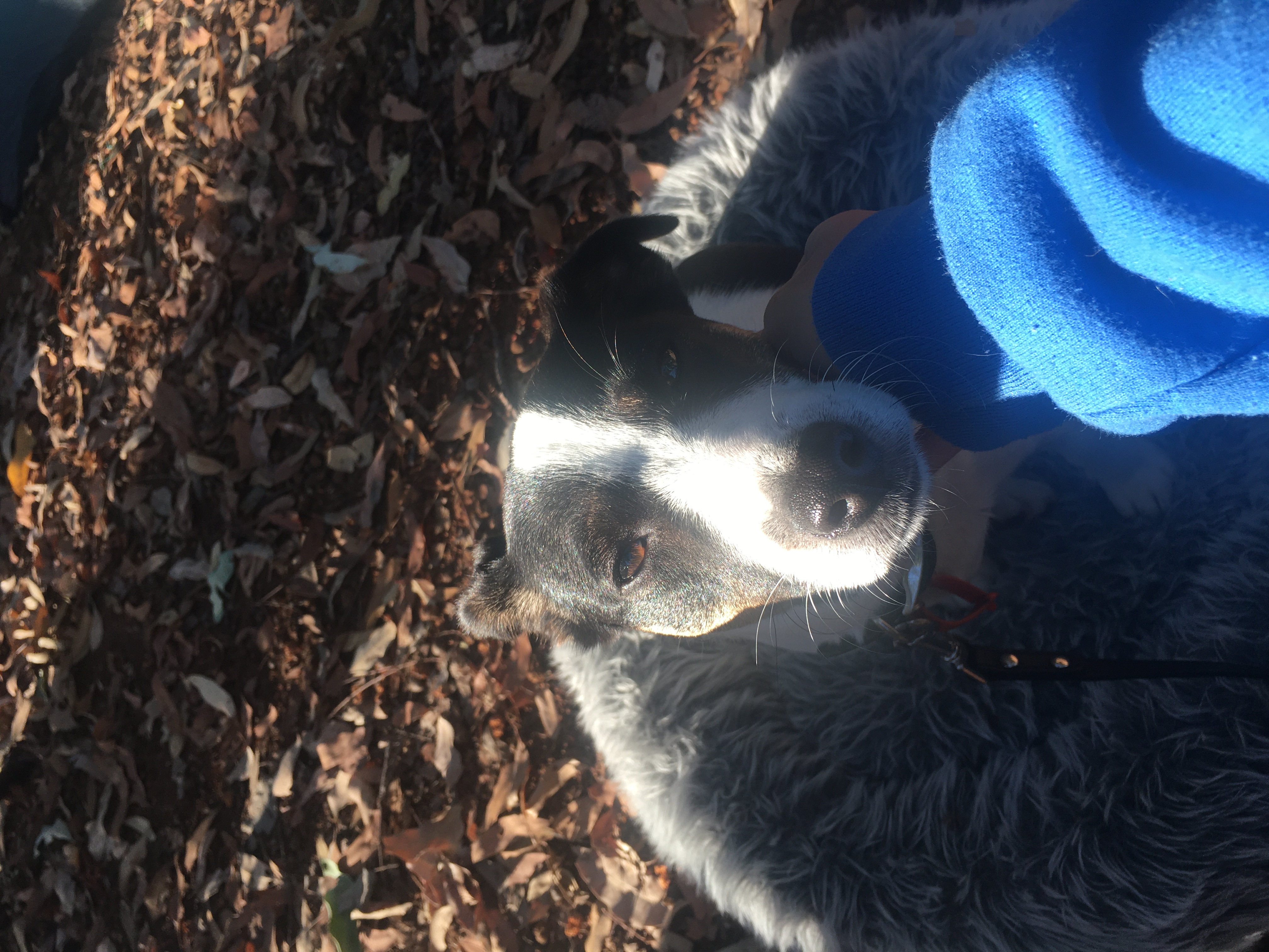 image-11