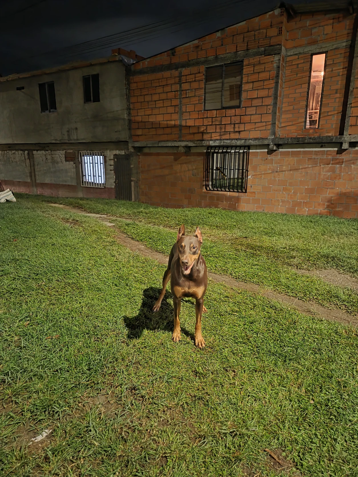 image-9
