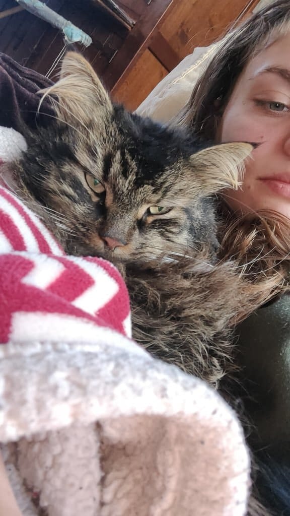 Wolfke