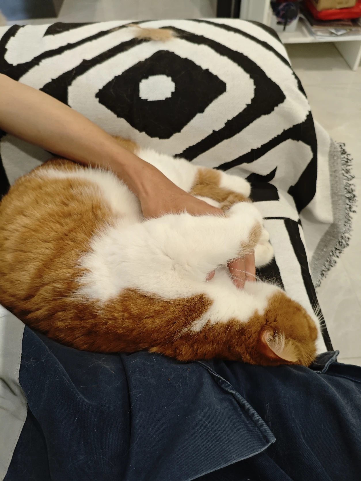 image-10