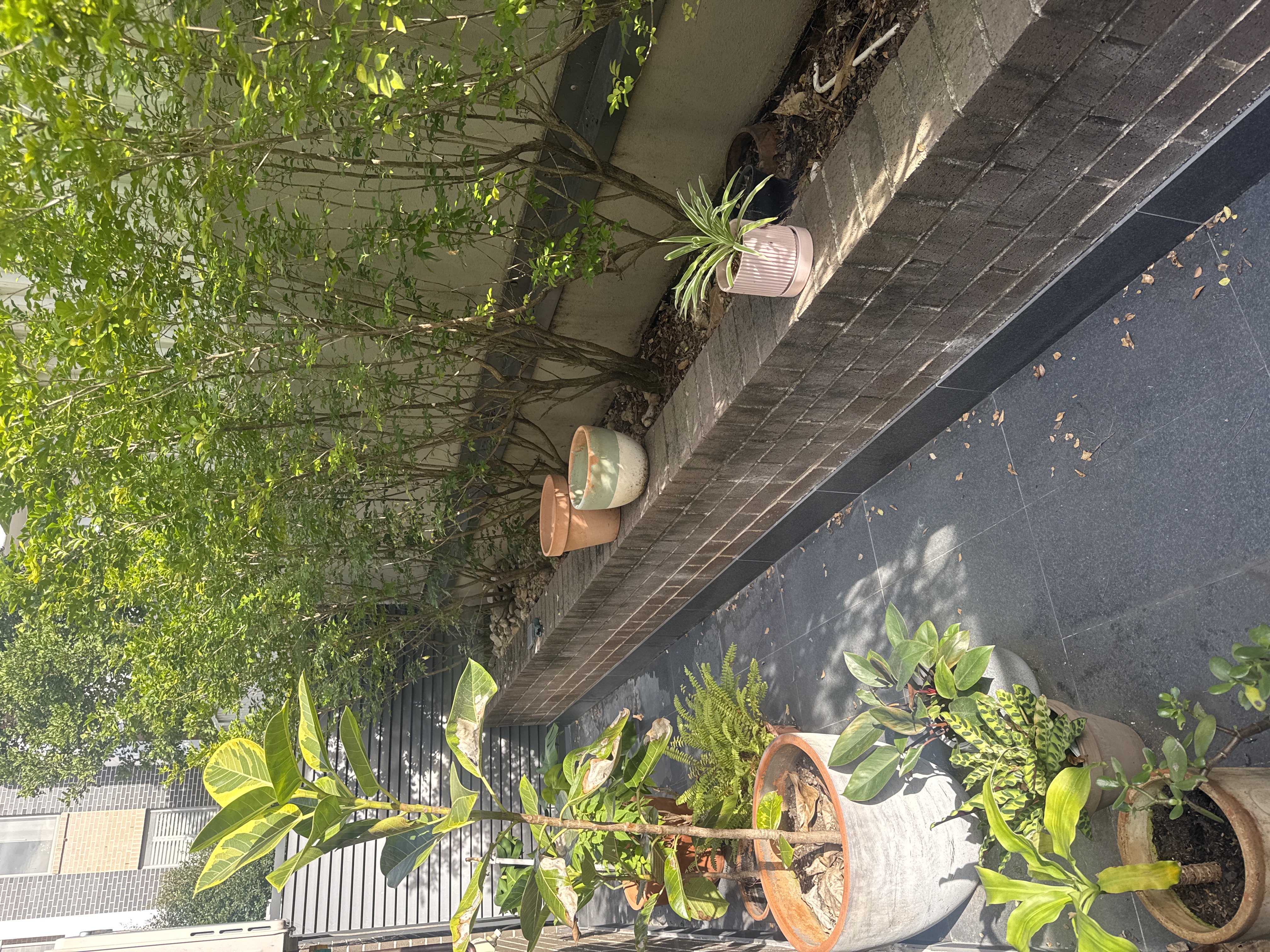 image-19