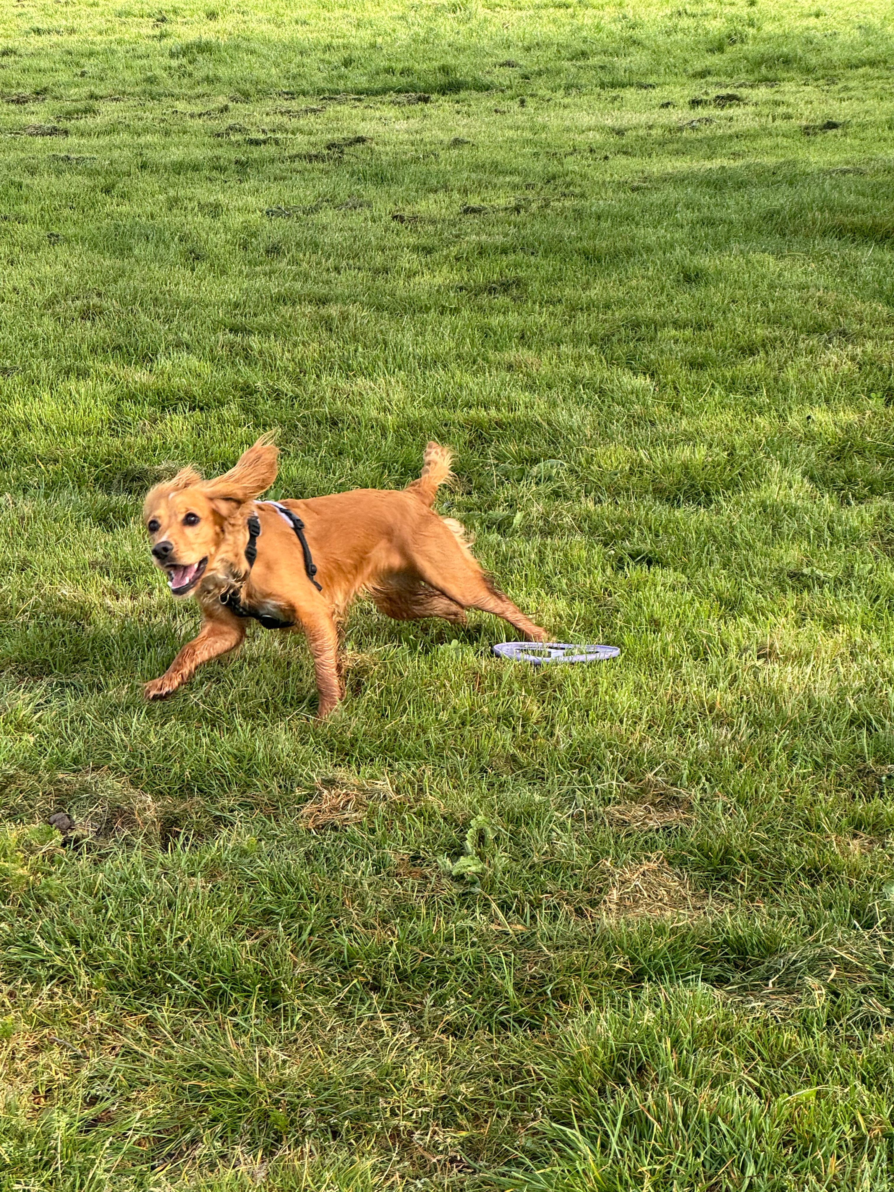image-6