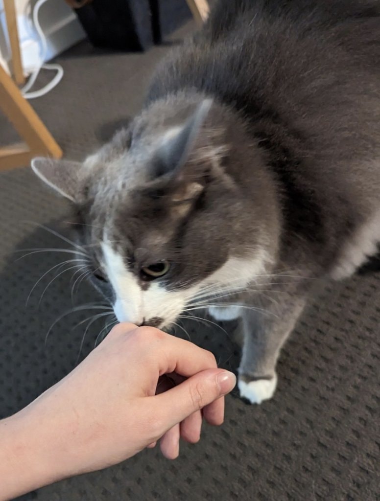 image-17