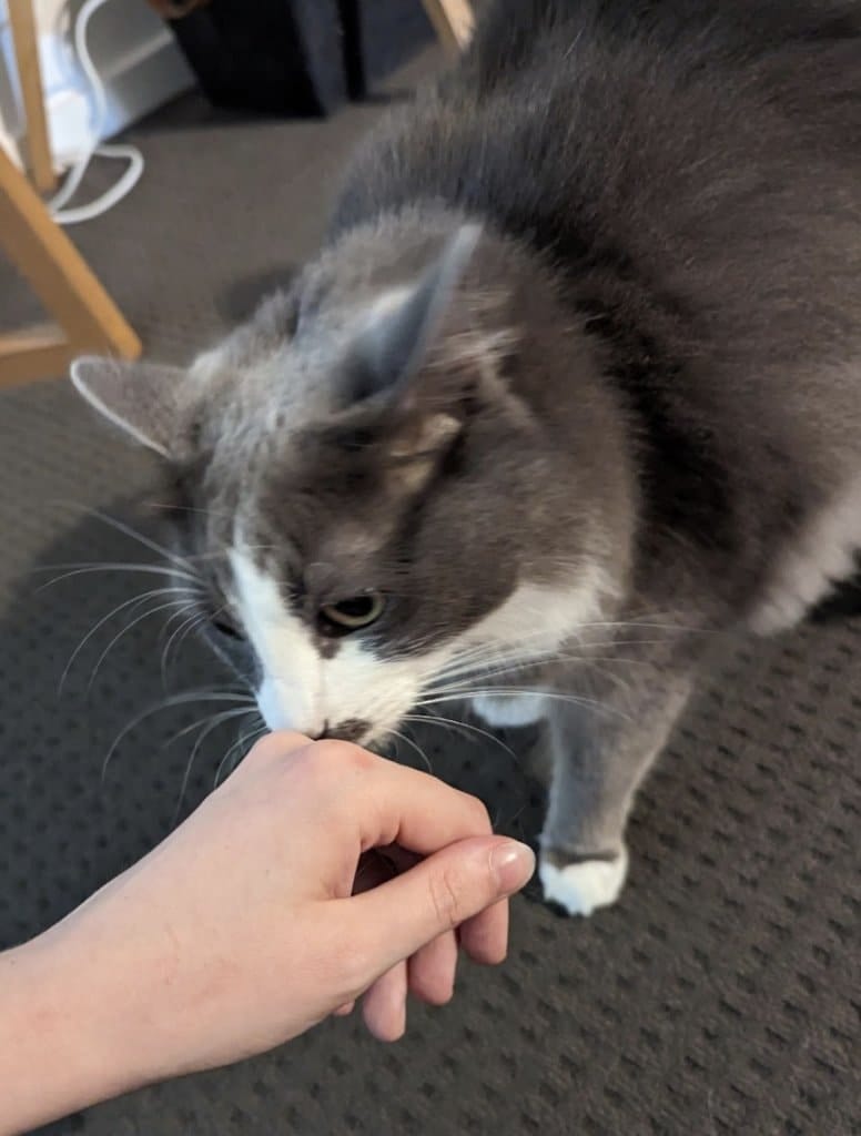 image-17