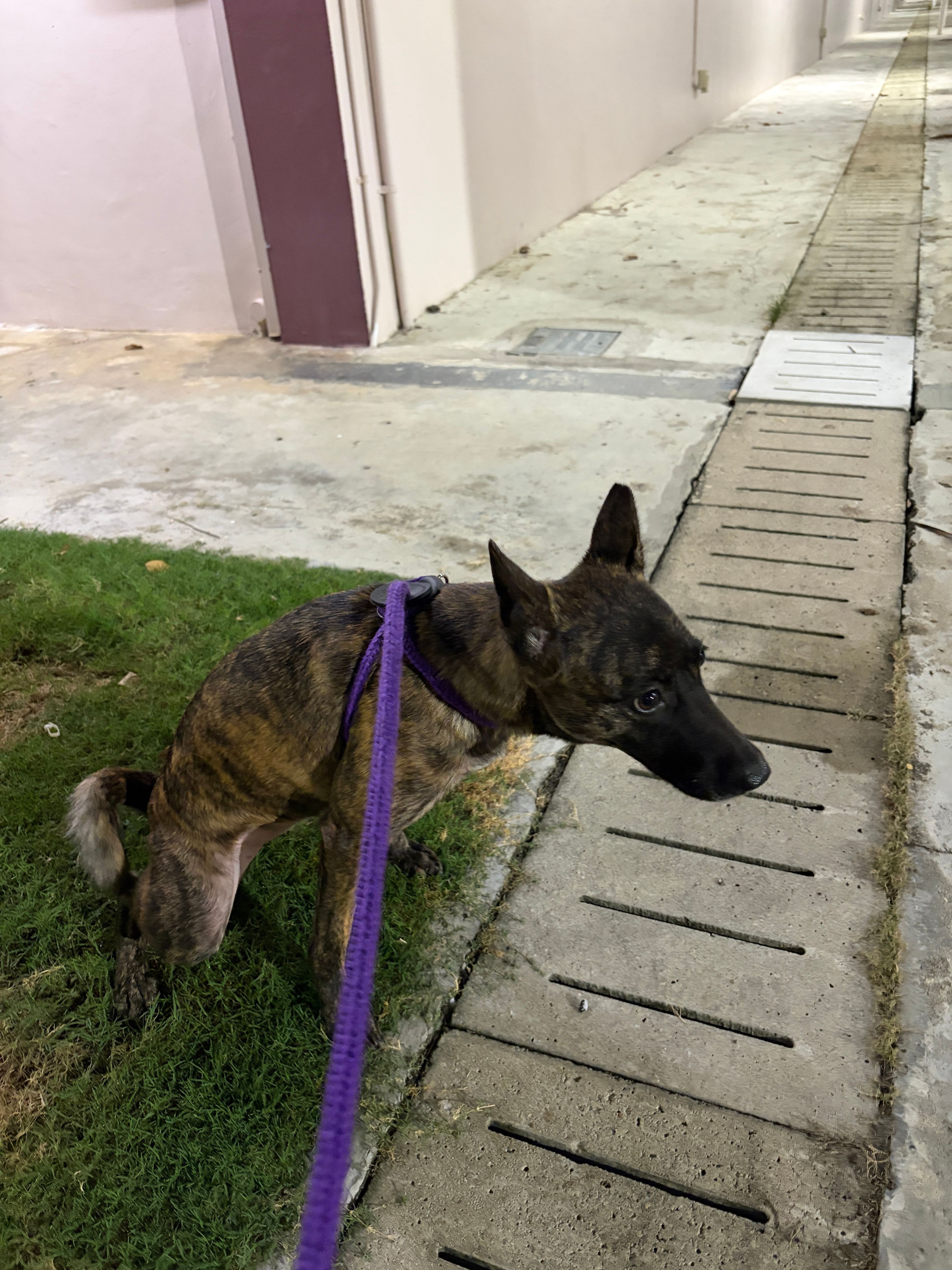image-5