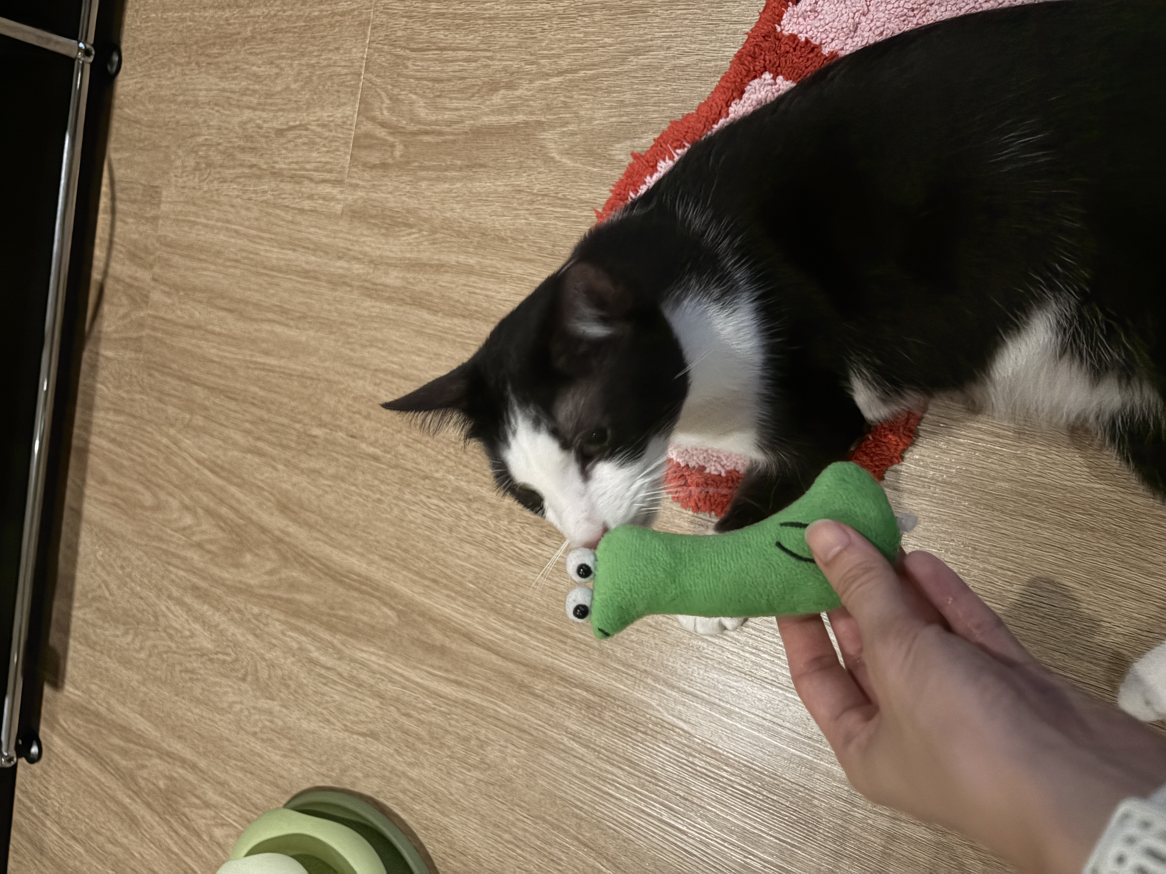 image-8