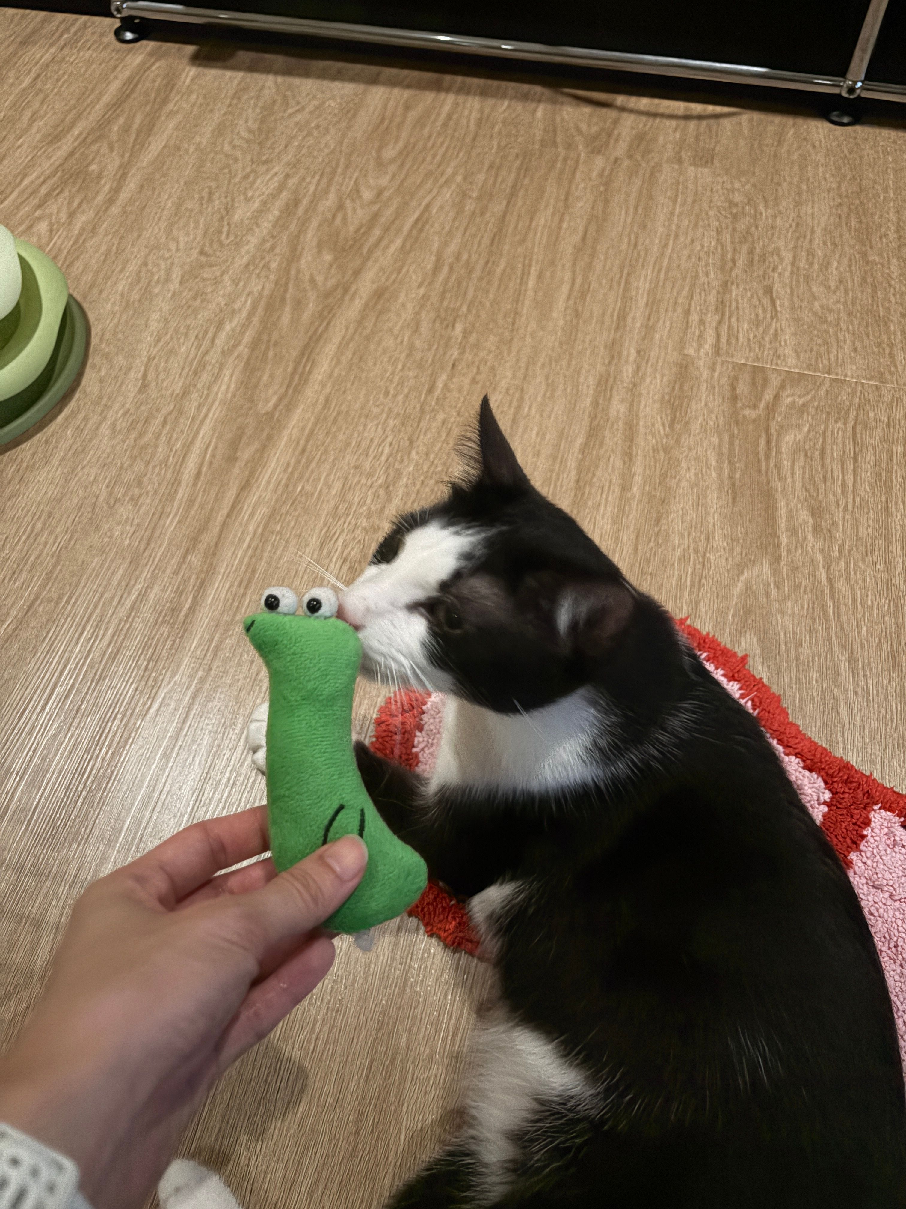 image-8