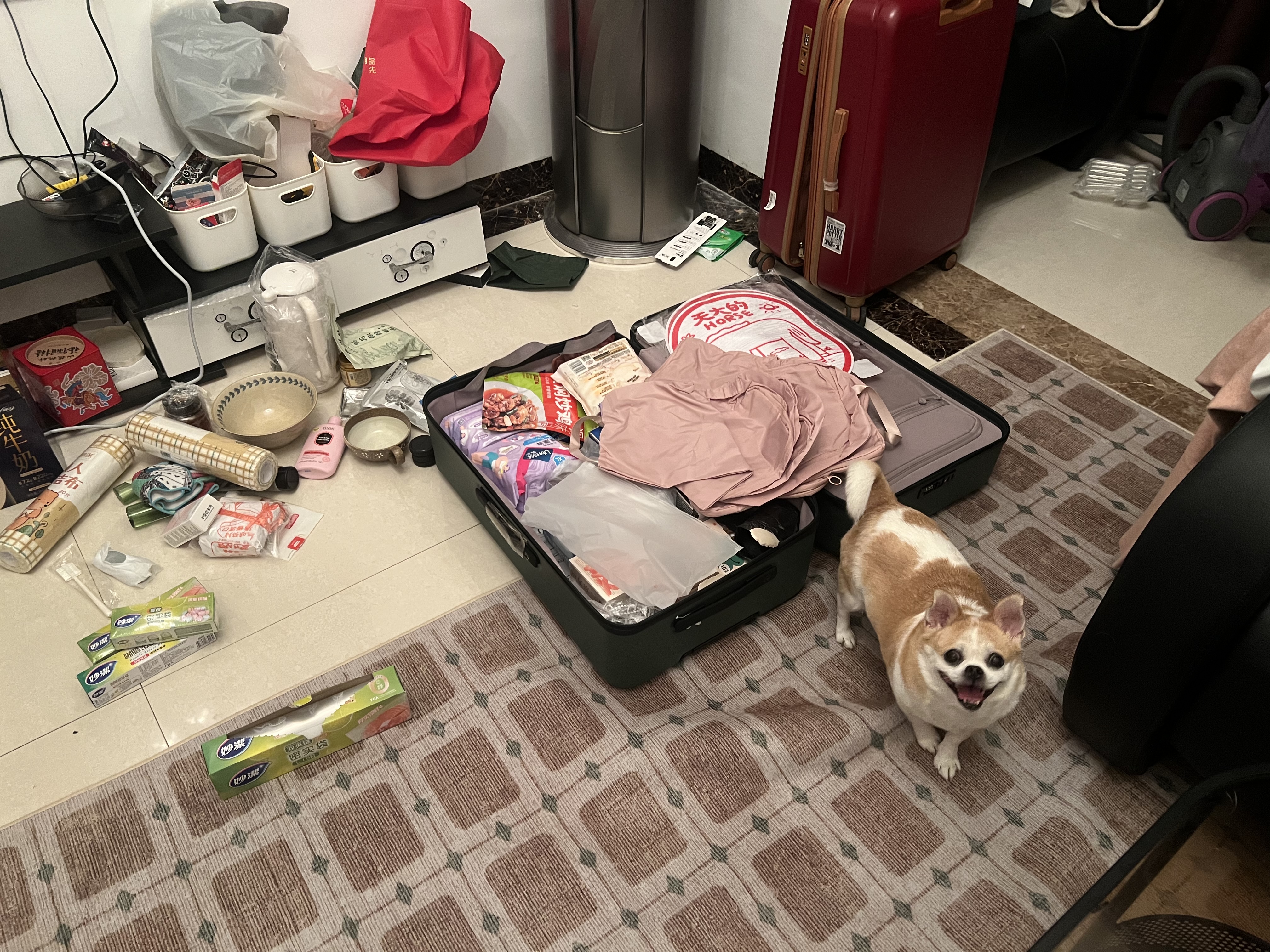 image-9
