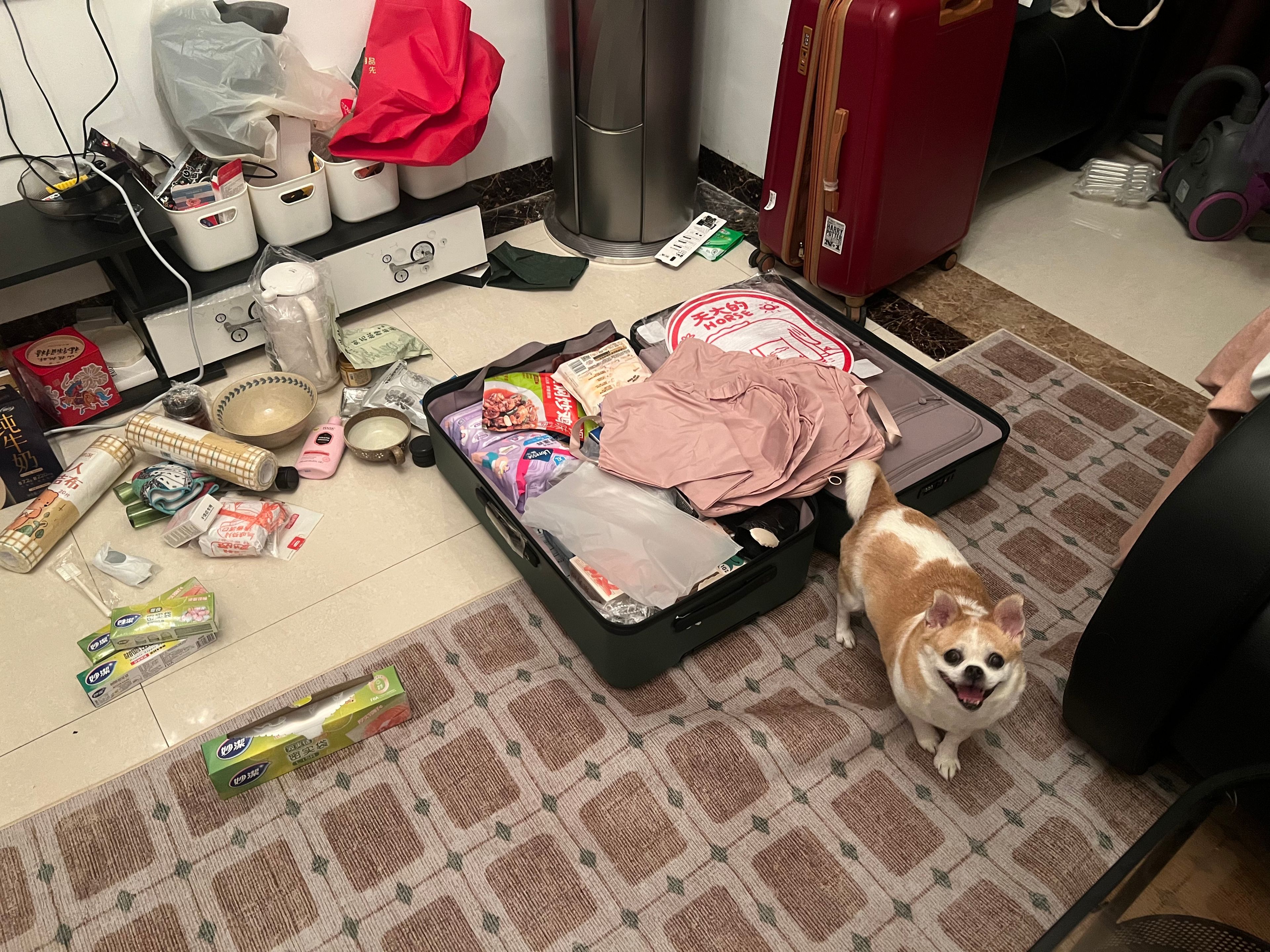 image-9