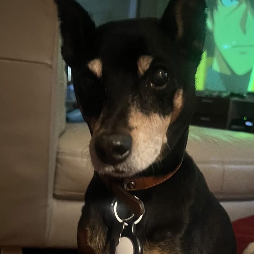 Chako