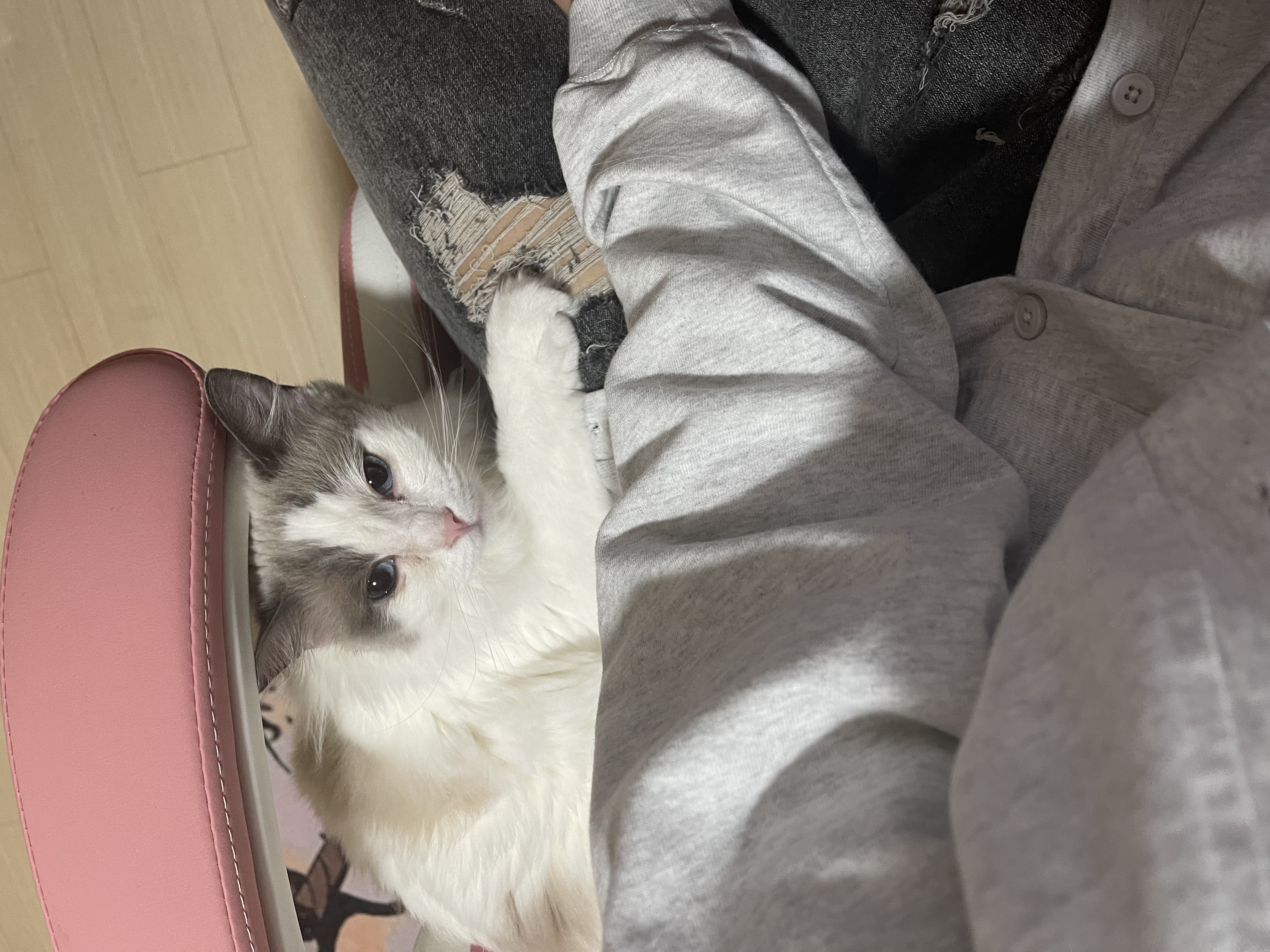 image-5